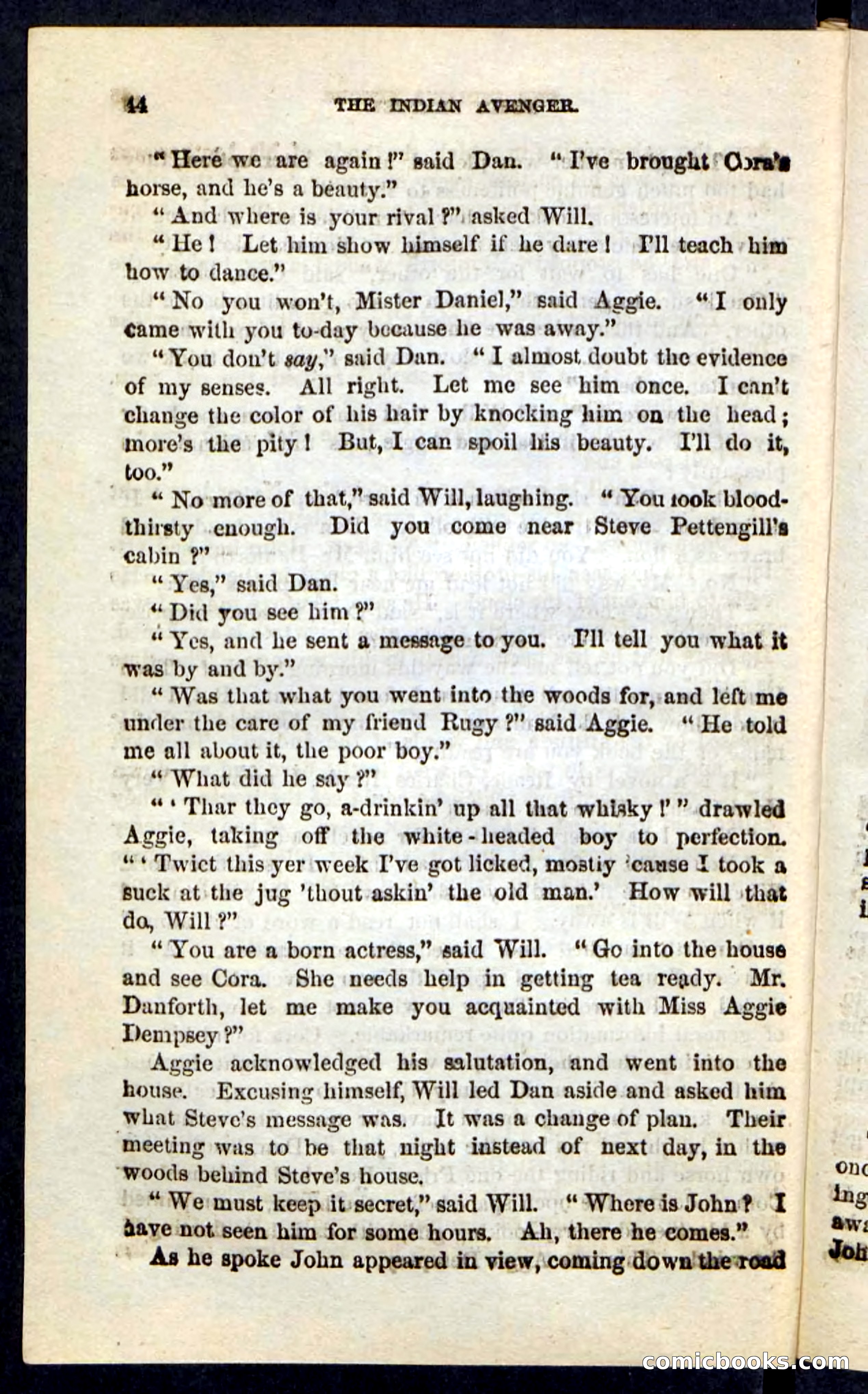 The Indian Avenger — page 40 of 100