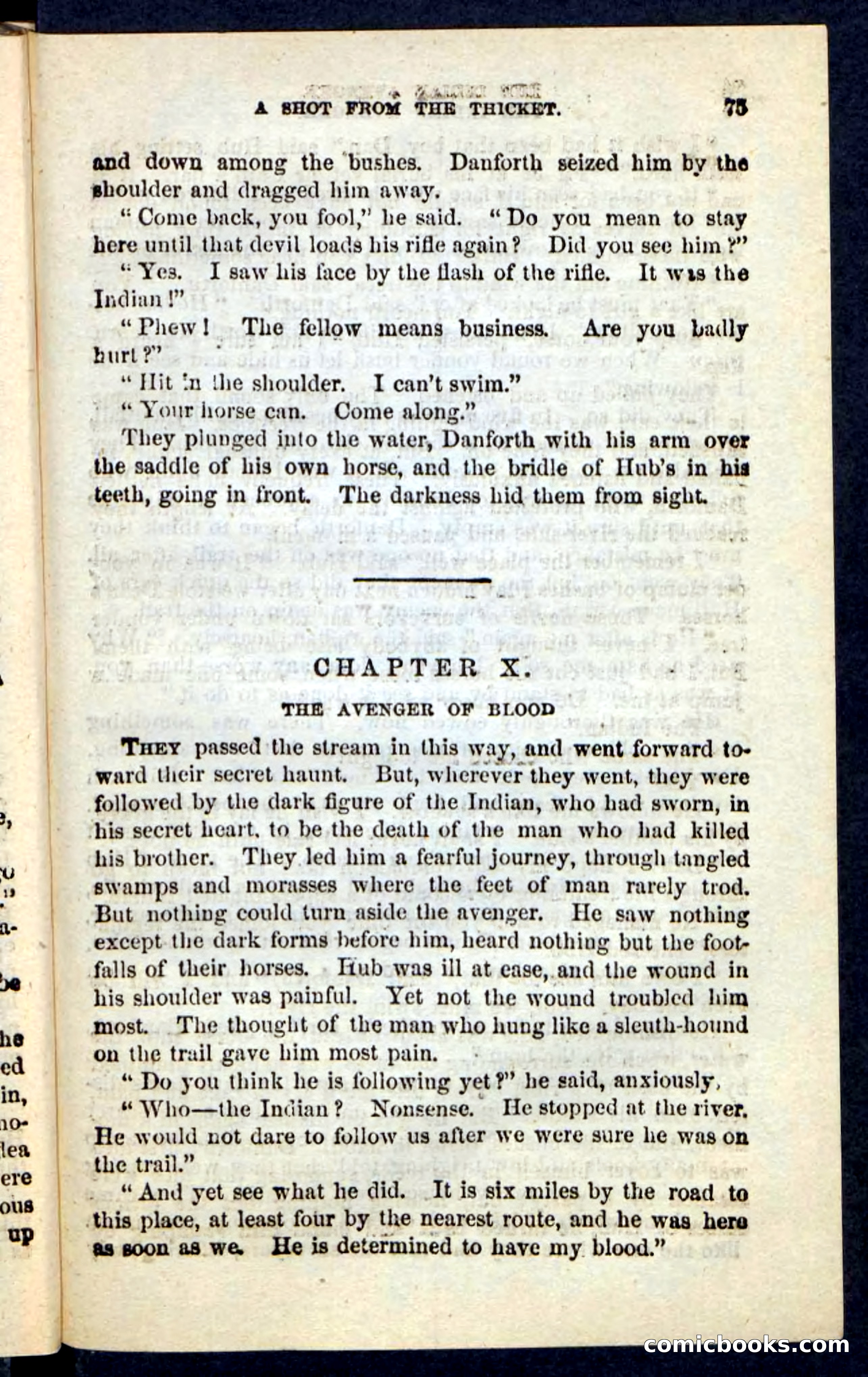 The Indian Avenger — page 71 of 100