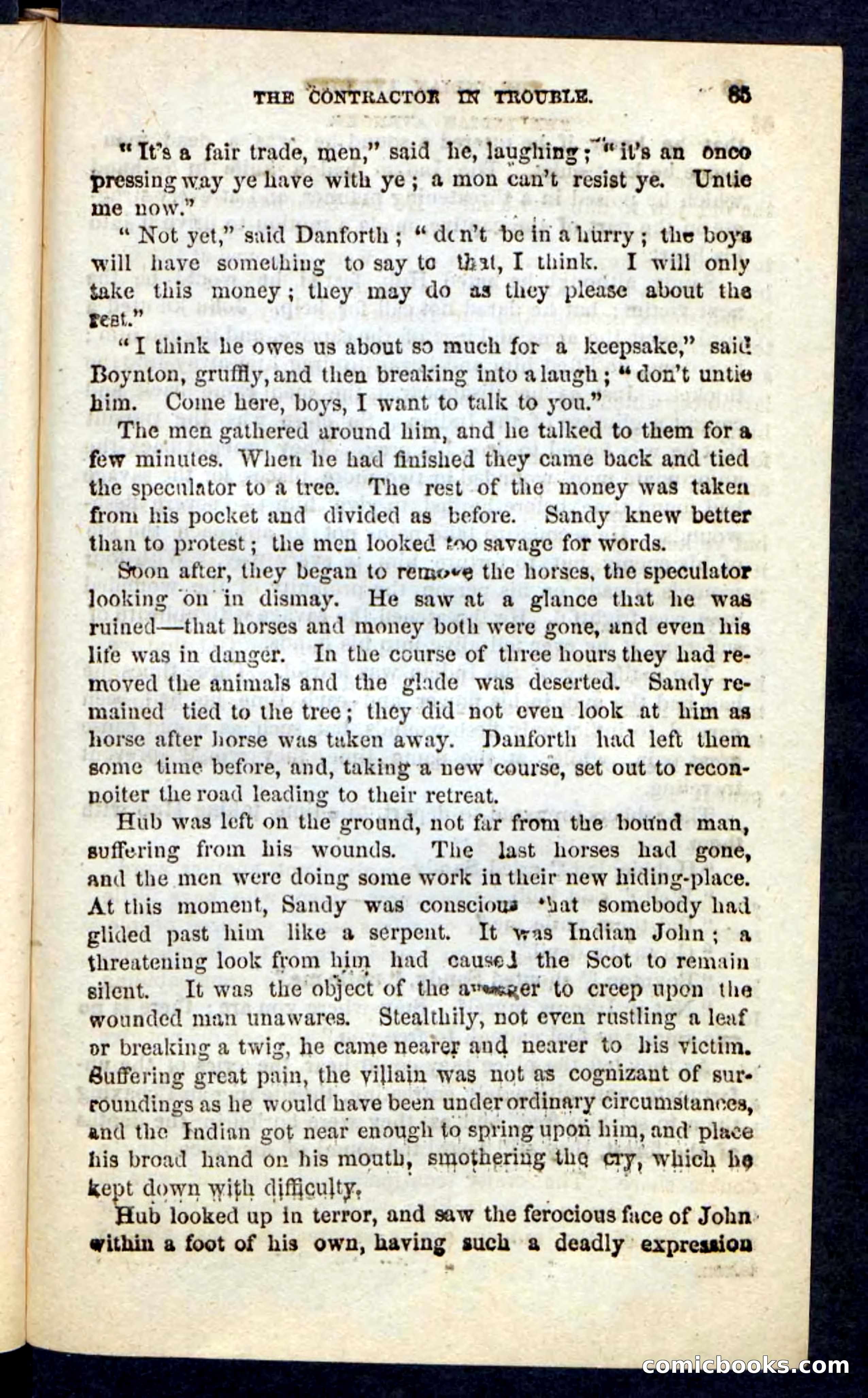 The Indian Avenger — page 81 of 100