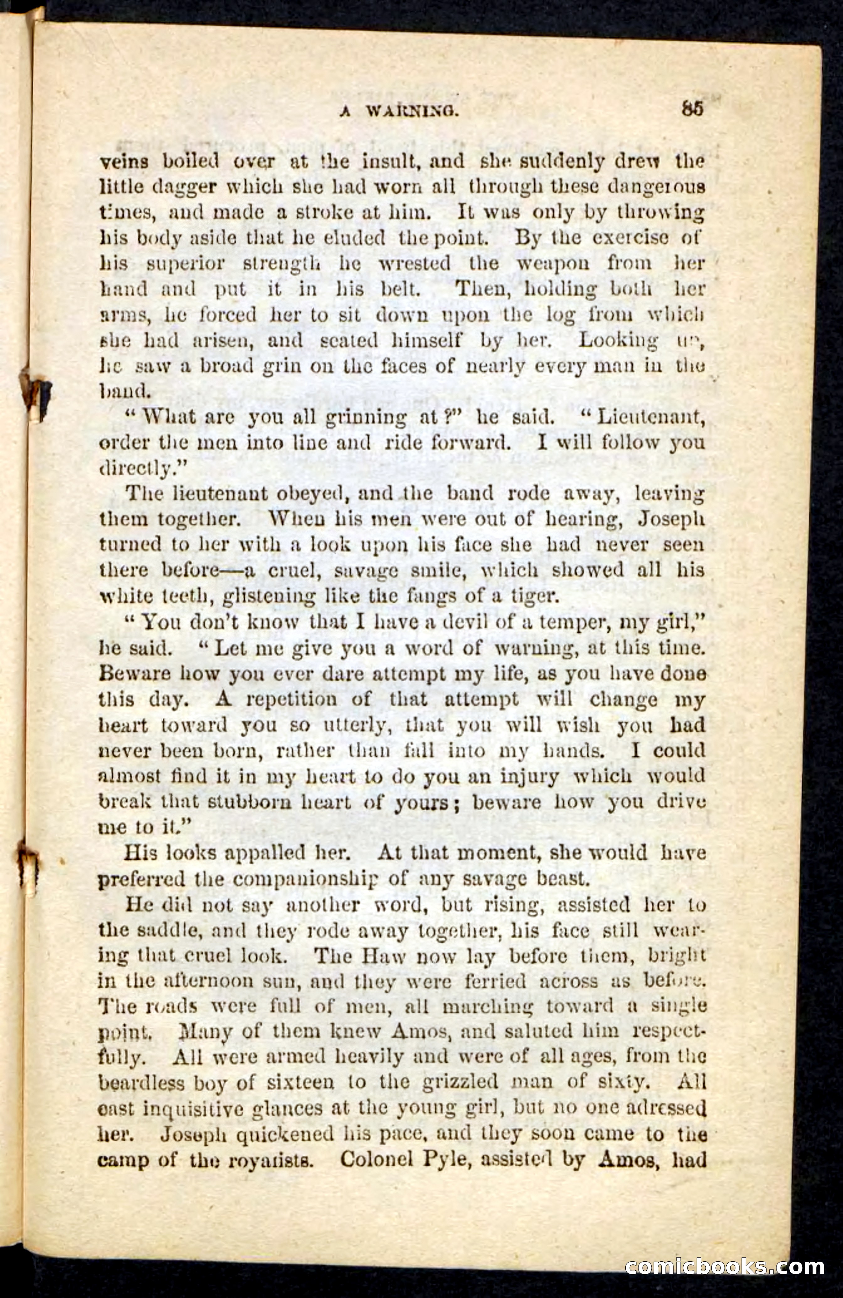 The Swamp Rifles — page 81 of 100