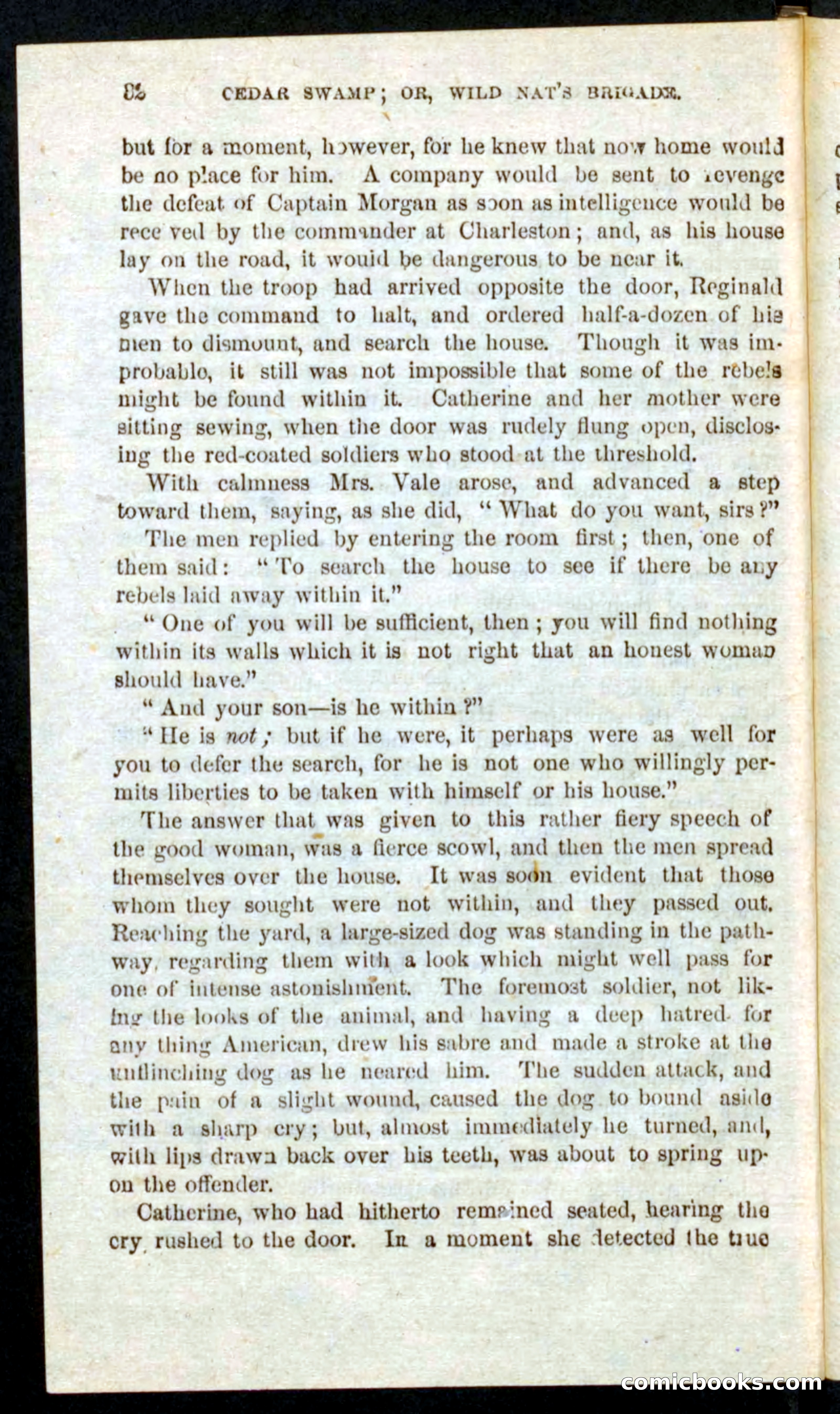 Wild Nat, the Trooper — page 30 of 100