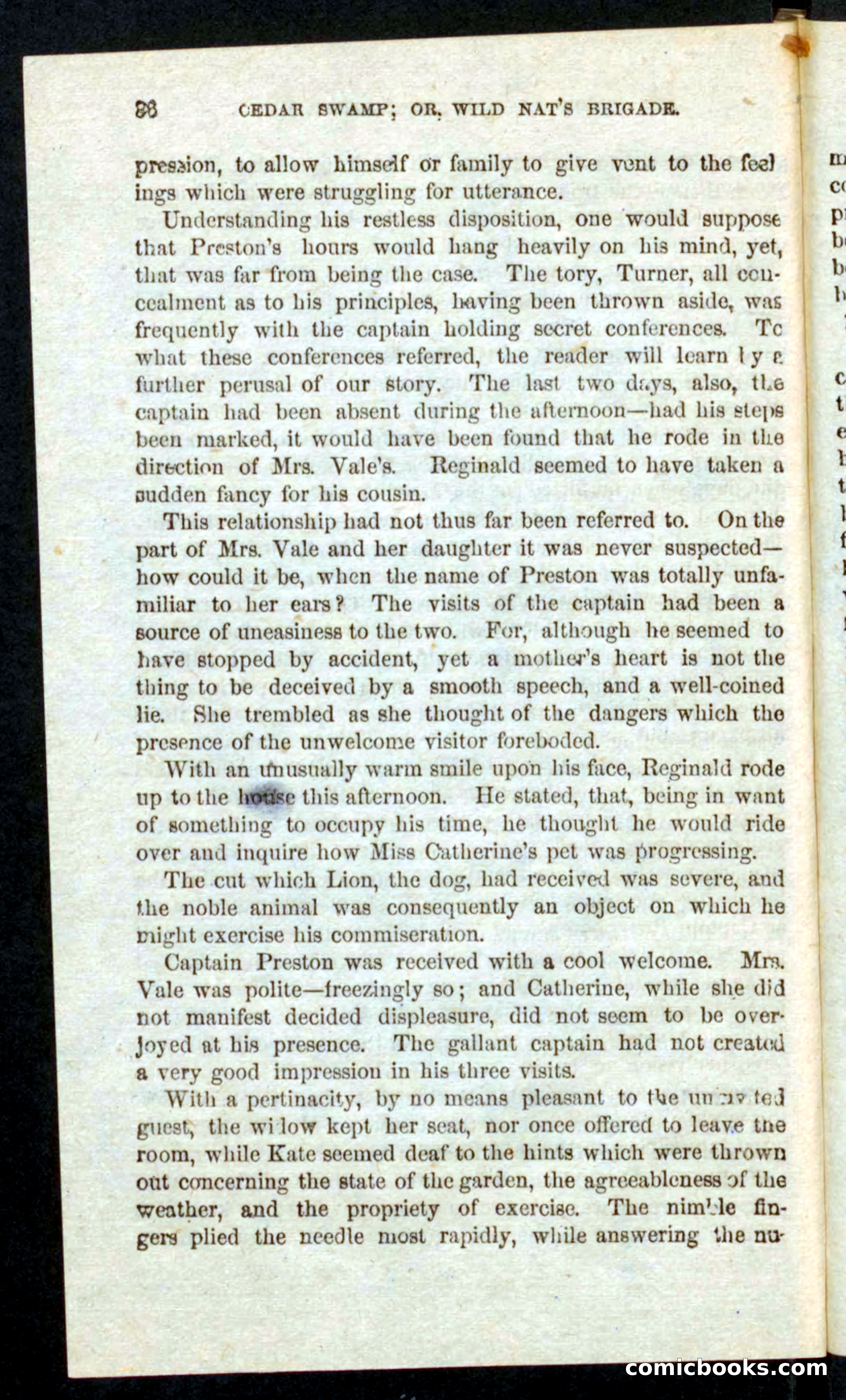 Wild Nat, the Trooper — page 34 of 100
