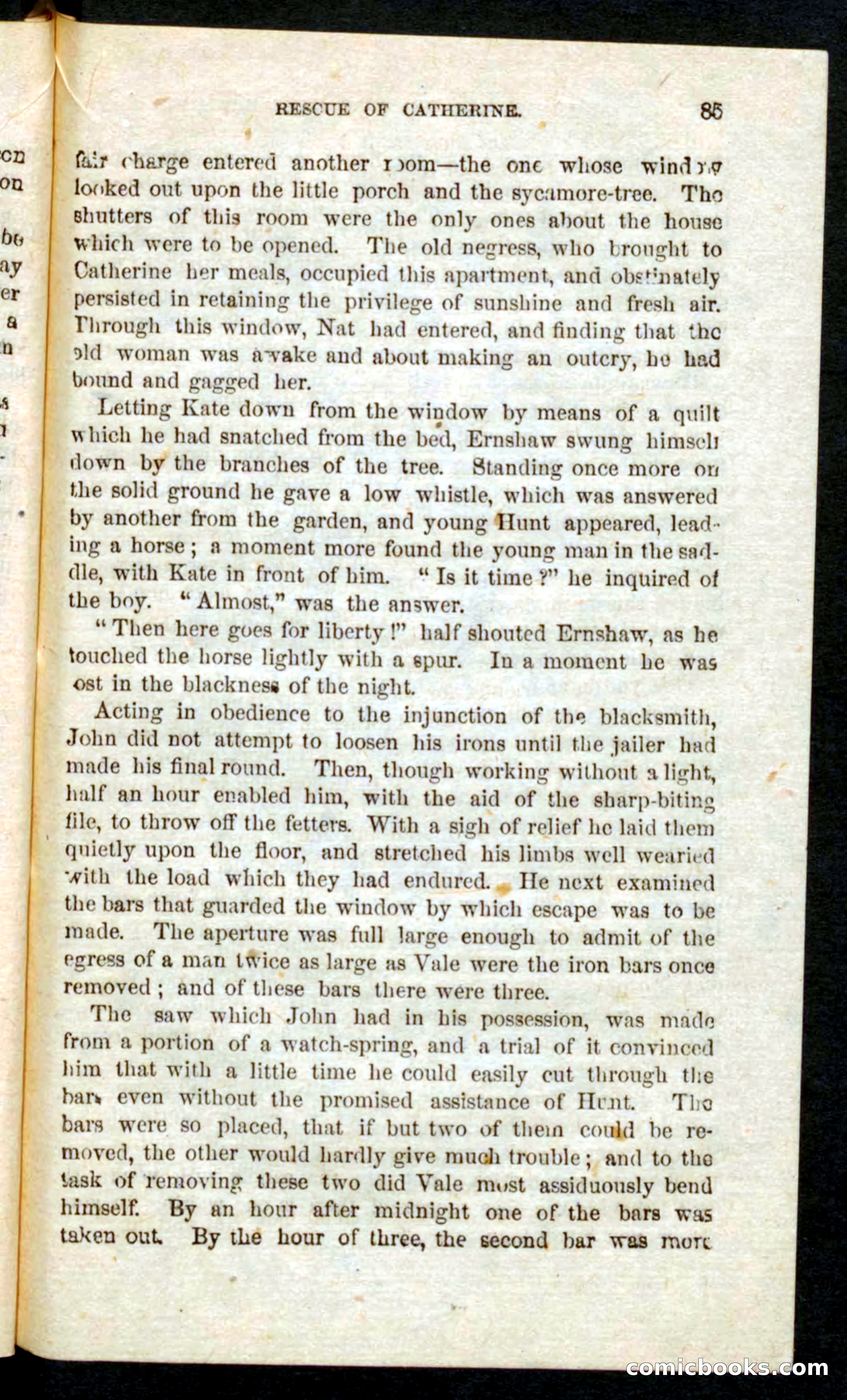 Wild Nat, the Trooper — page 83 of 100