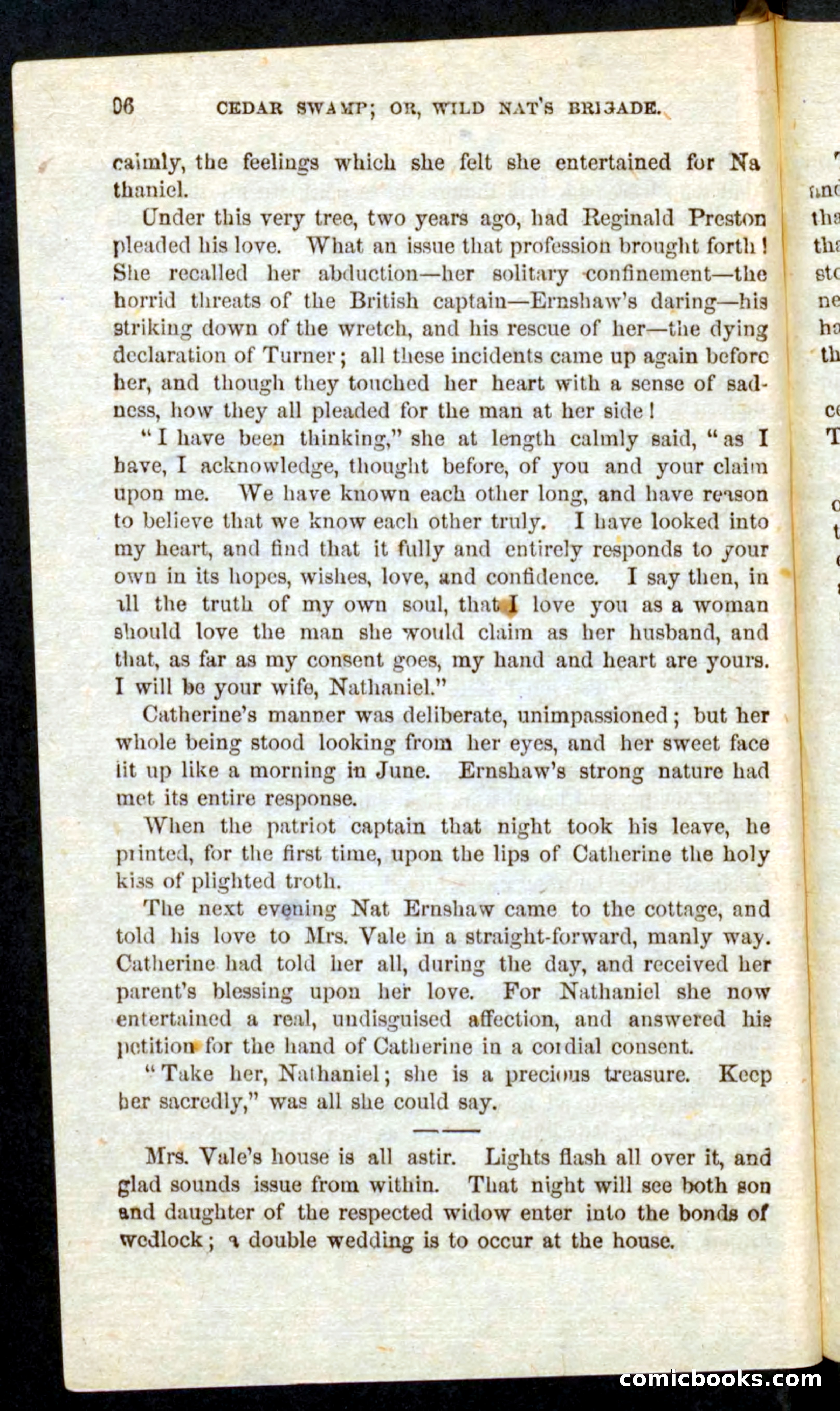 Wild Nat, the Trooper — page 94 of 100