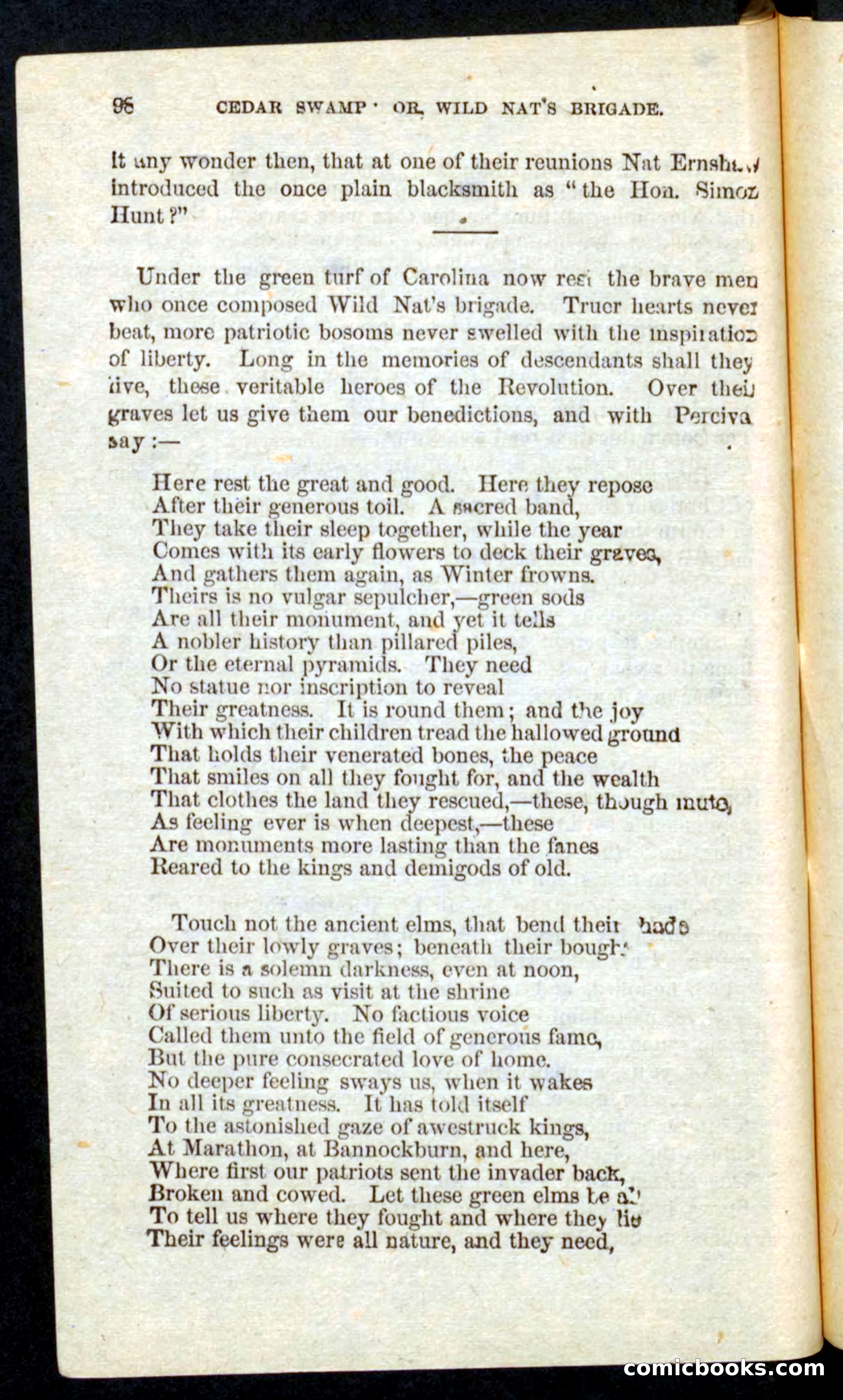 Wild Nat, the Trooper — page 96 of 100