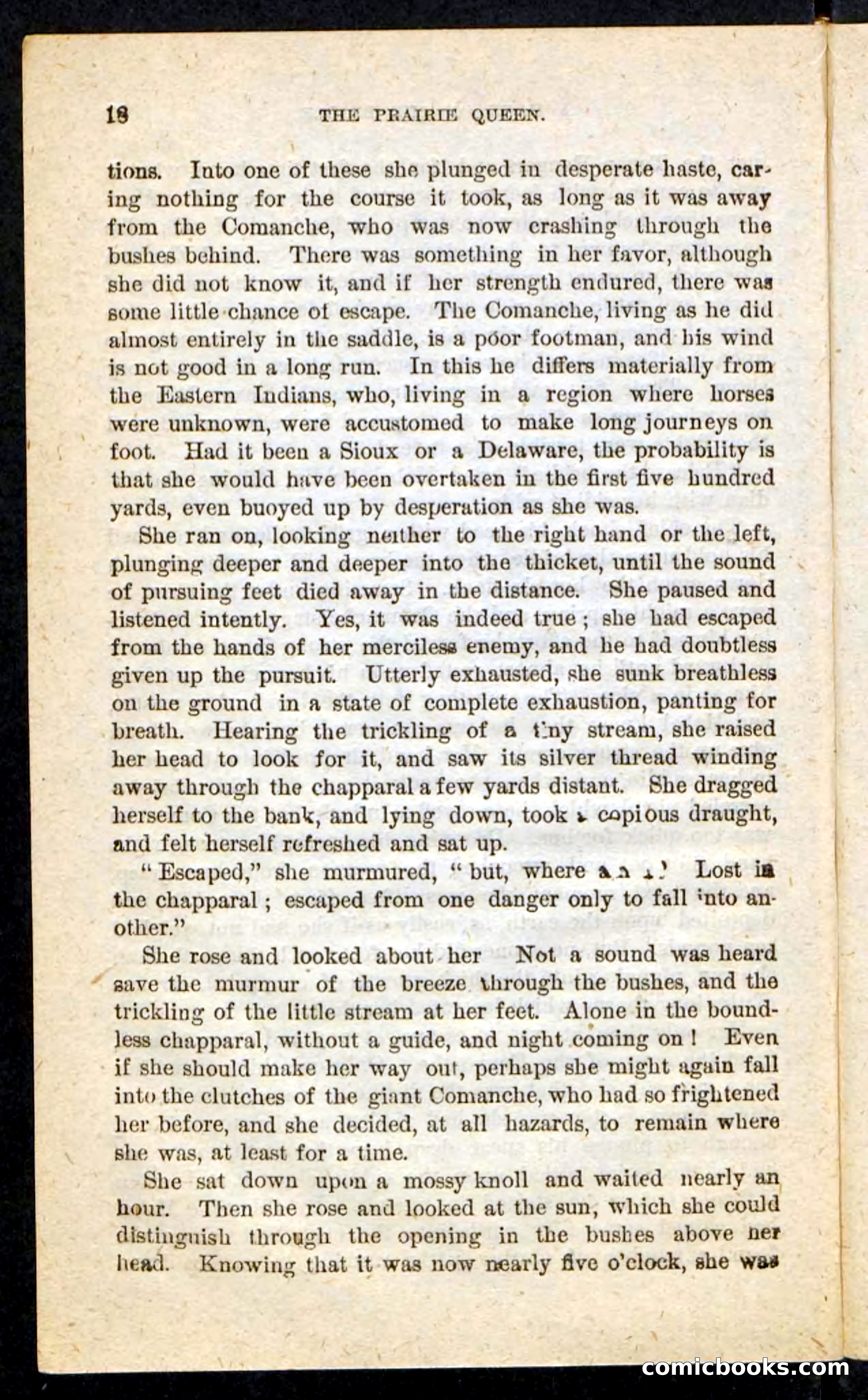The Prairie Queen — page 14 of 100