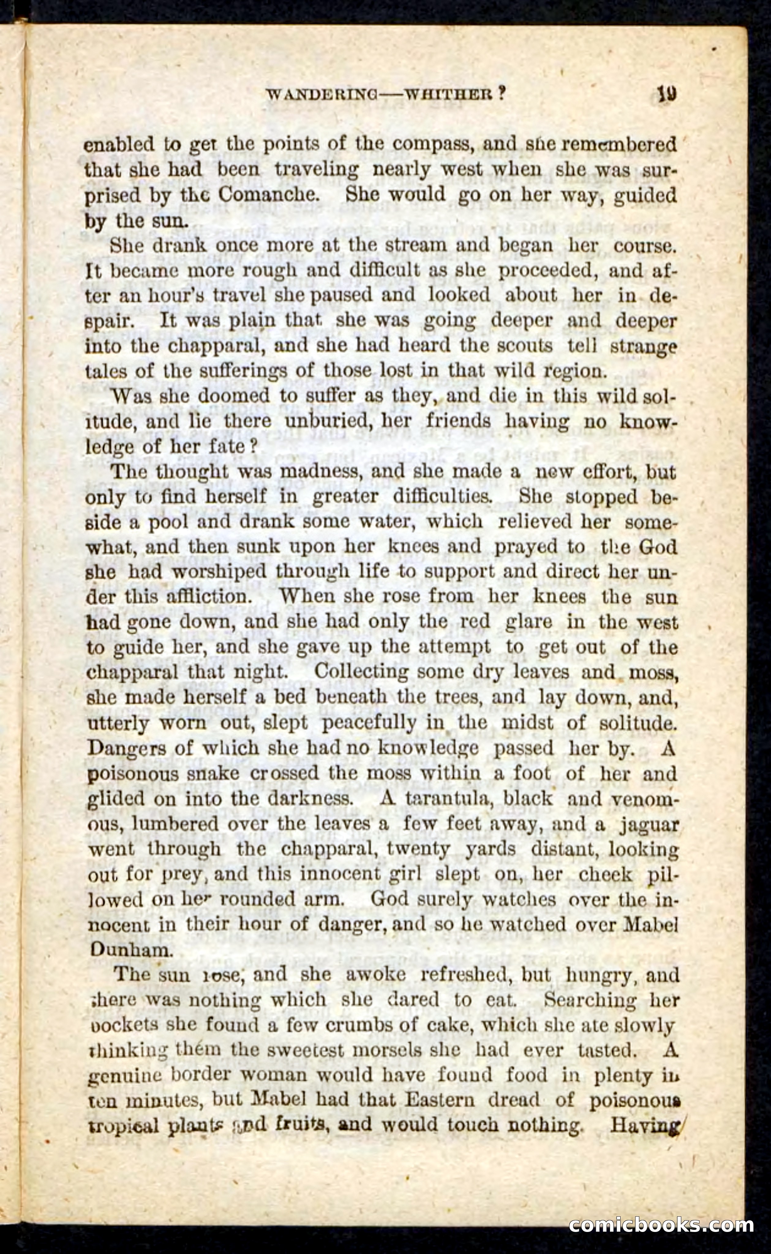 The Prairie Queen — page 15 of 100