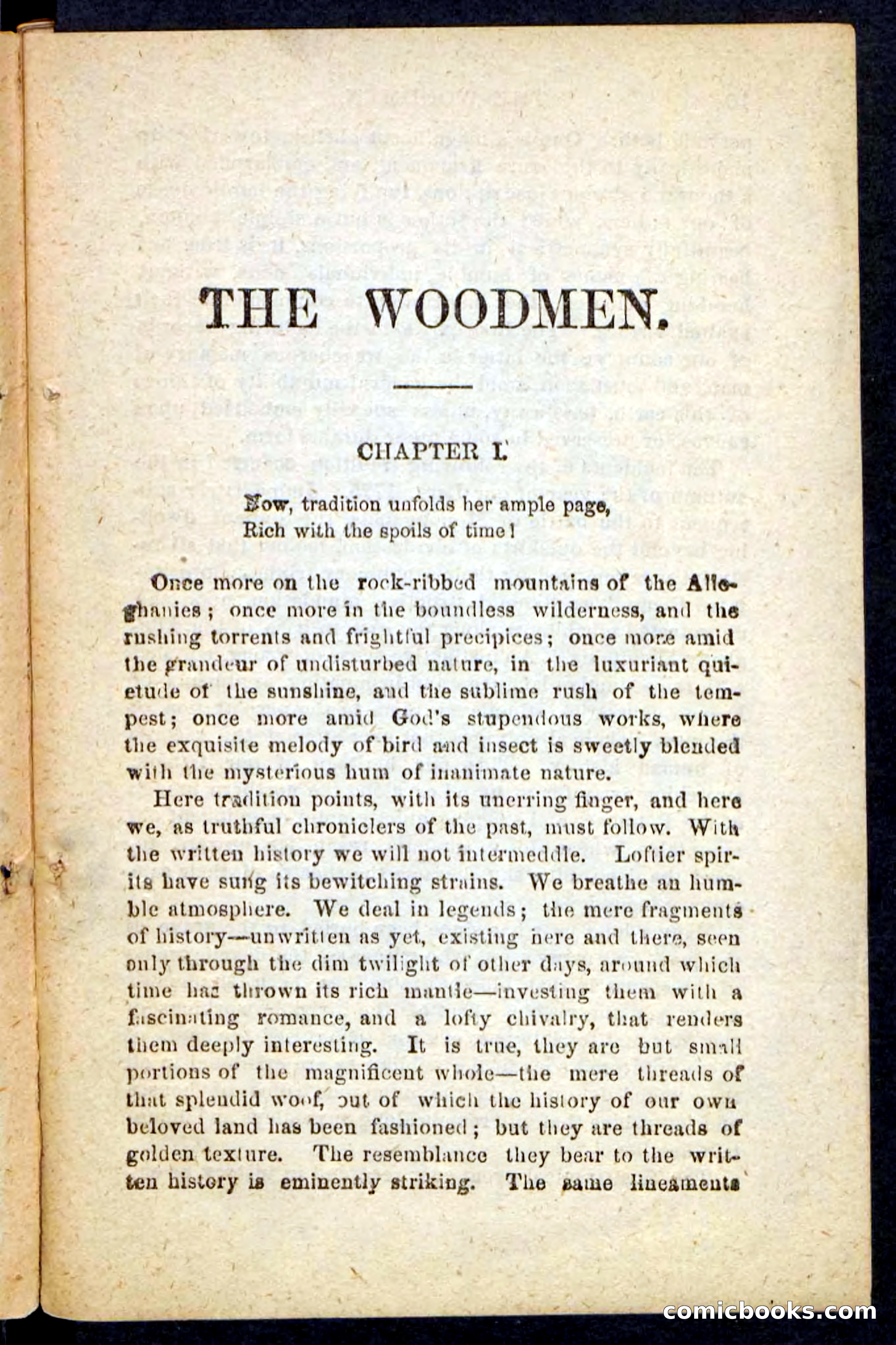 Beadle's Pocket Novels No. 214: The Backwoodsmen — page 5 of 100