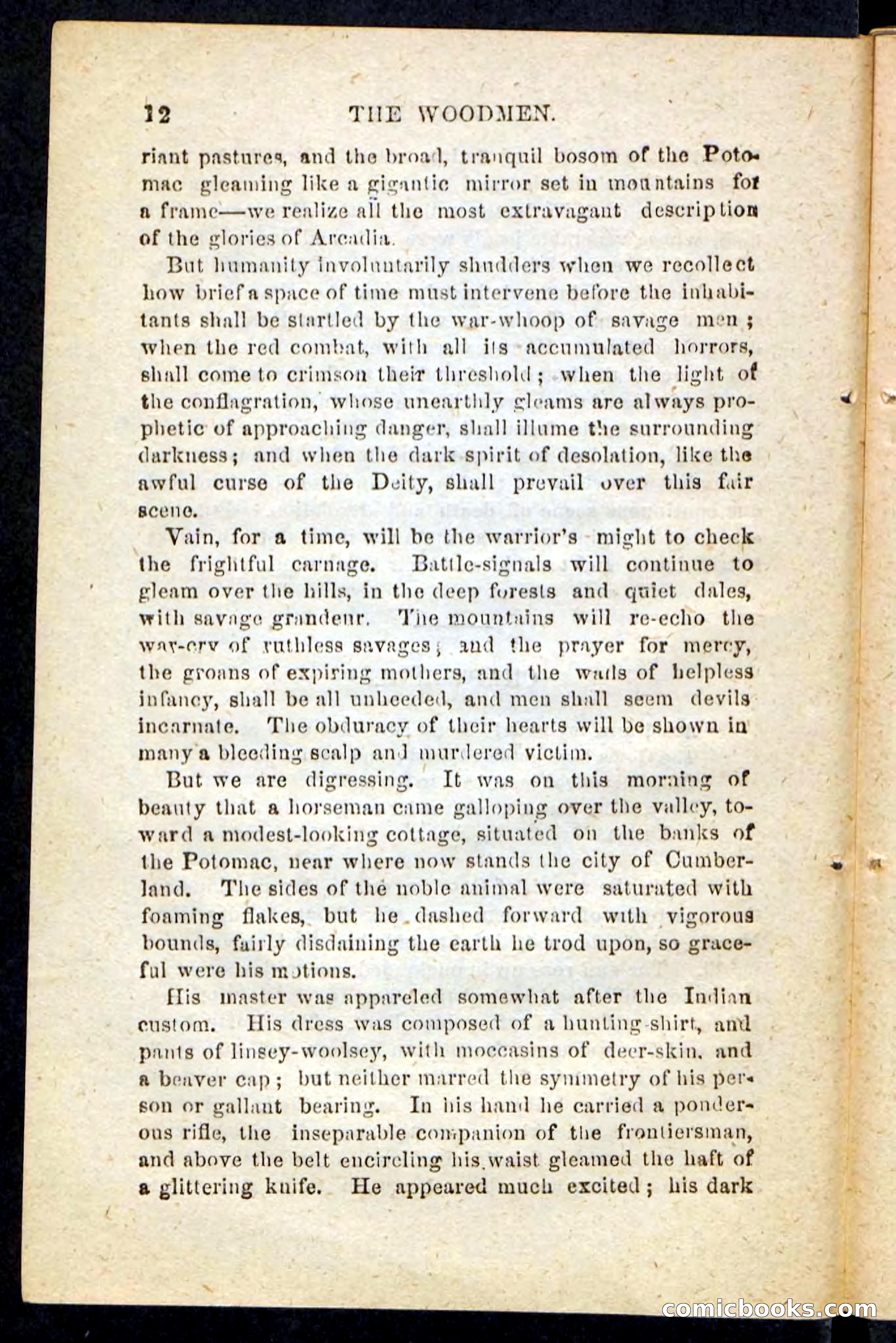 Beadle's Pocket Novels No. 214: The Backwoodsmen — page 8 of 100