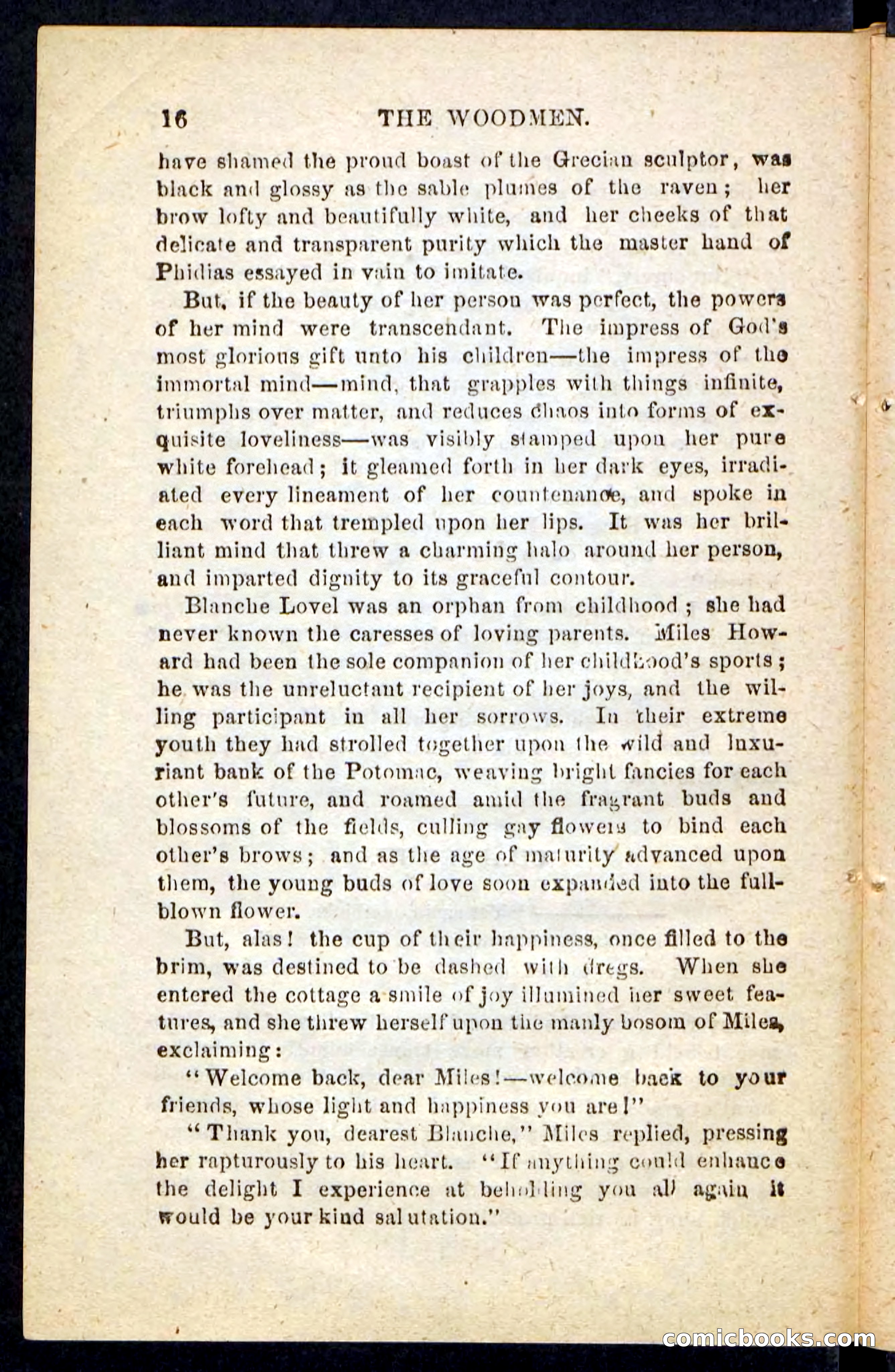 Beadle's Pocket Novels No. 214: The Backwoodsmen — page 12 of 100