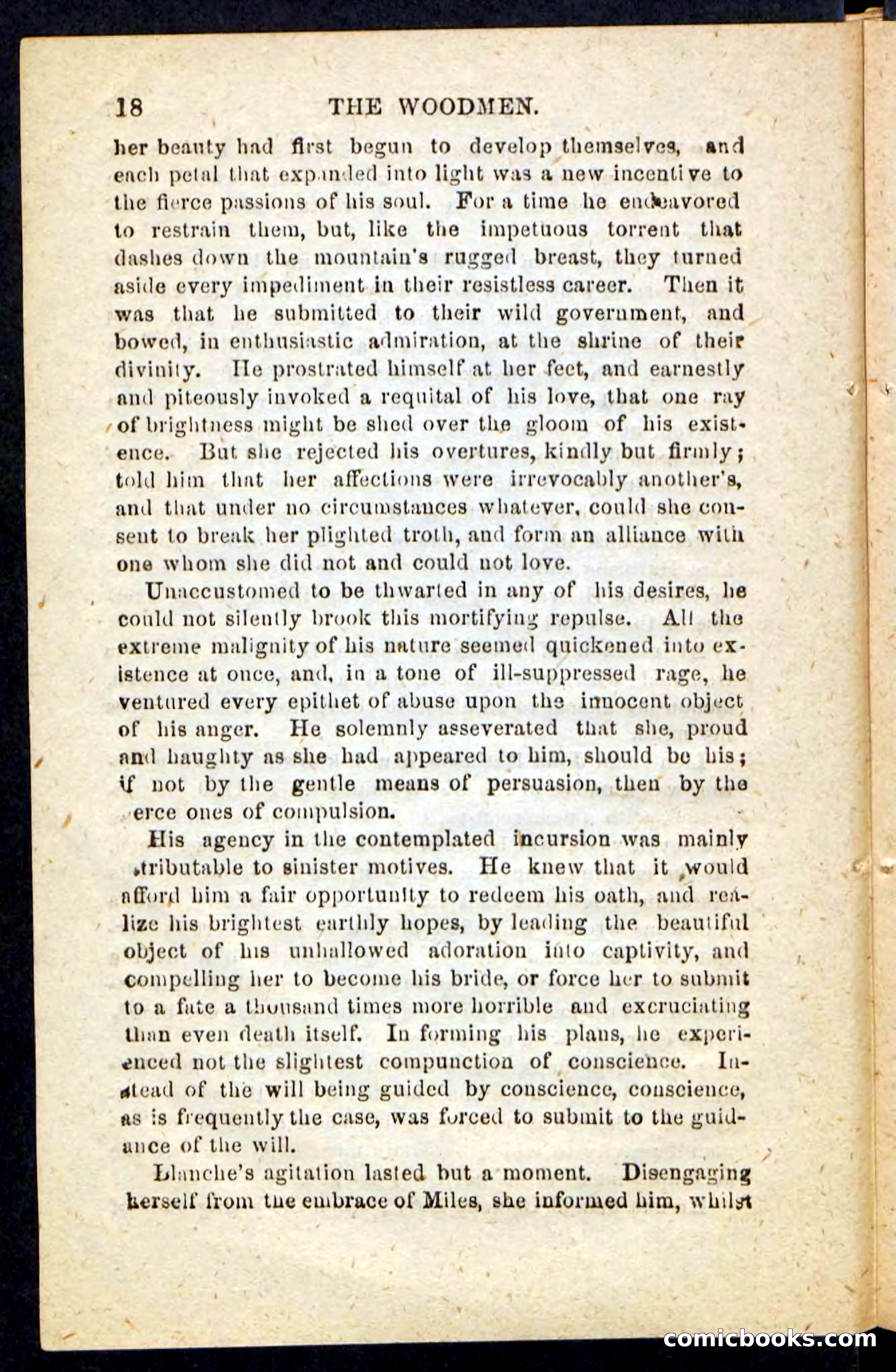 Beadle's Pocket Novels No. 214: The Backwoodsmen — page 14 of 100