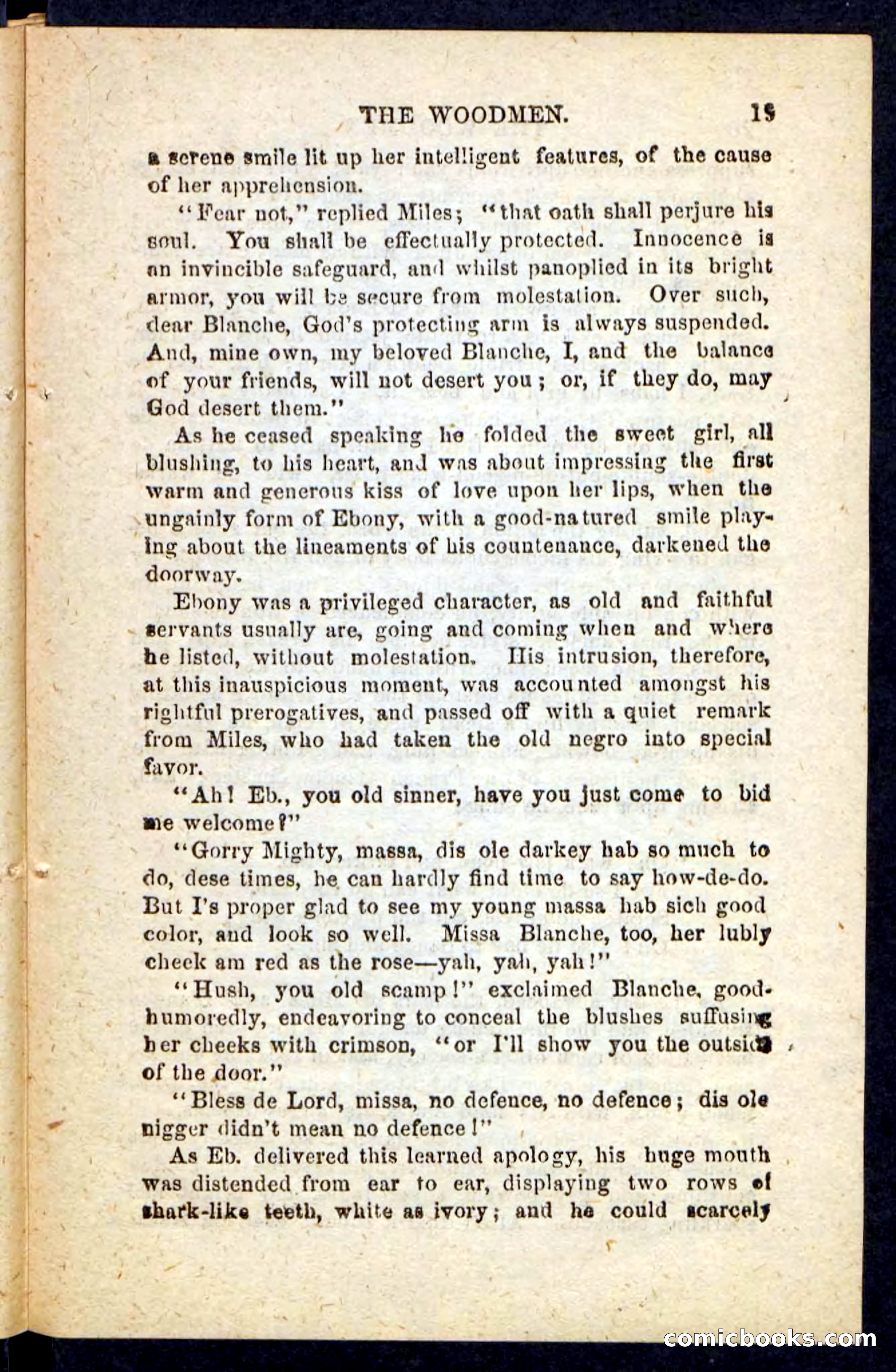 Beadle's Pocket Novels No. 214: The Backwoodsmen — page 15 of 100