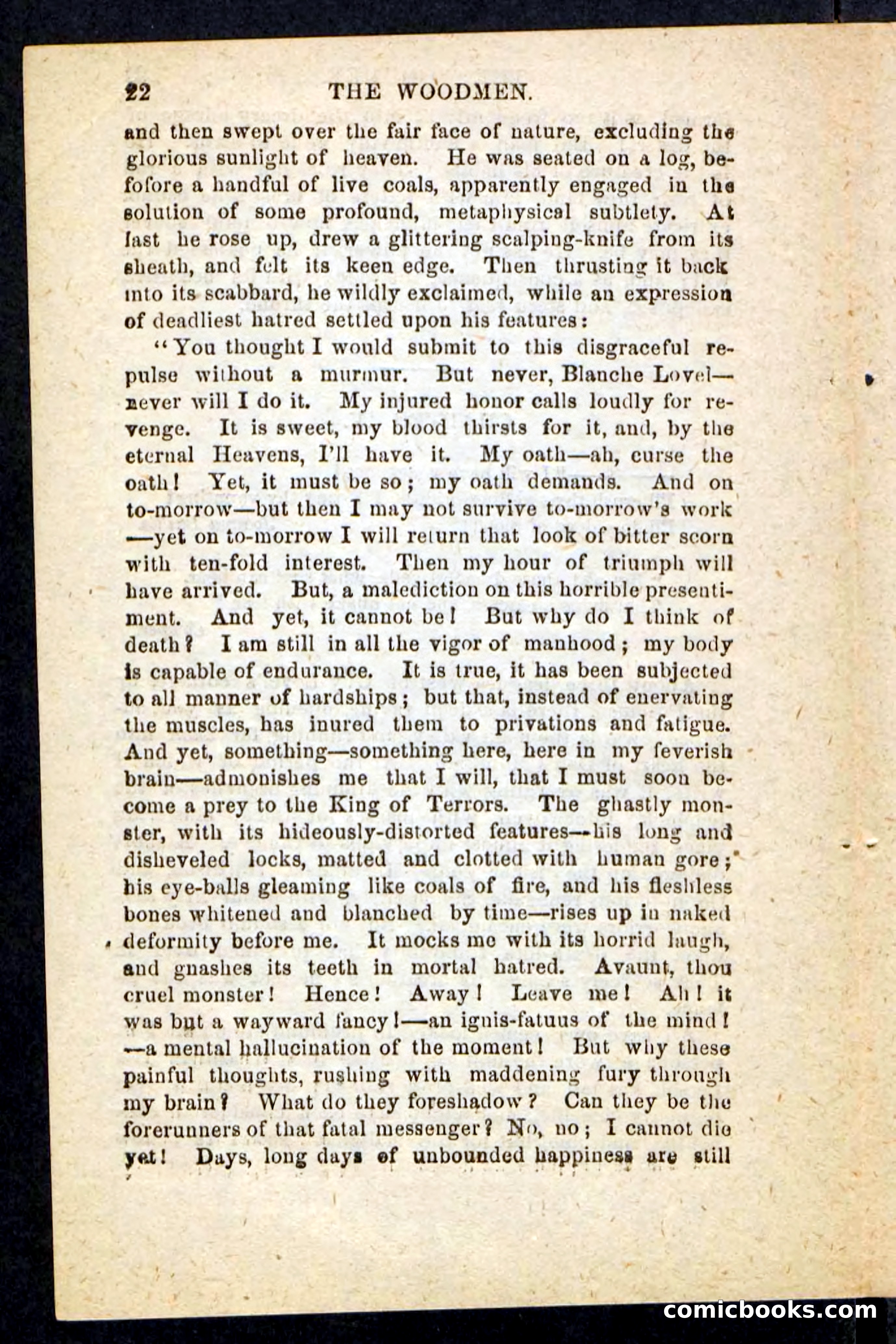 Beadle's Pocket Novels No. 214: The Backwoodsmen — page 18 of 100