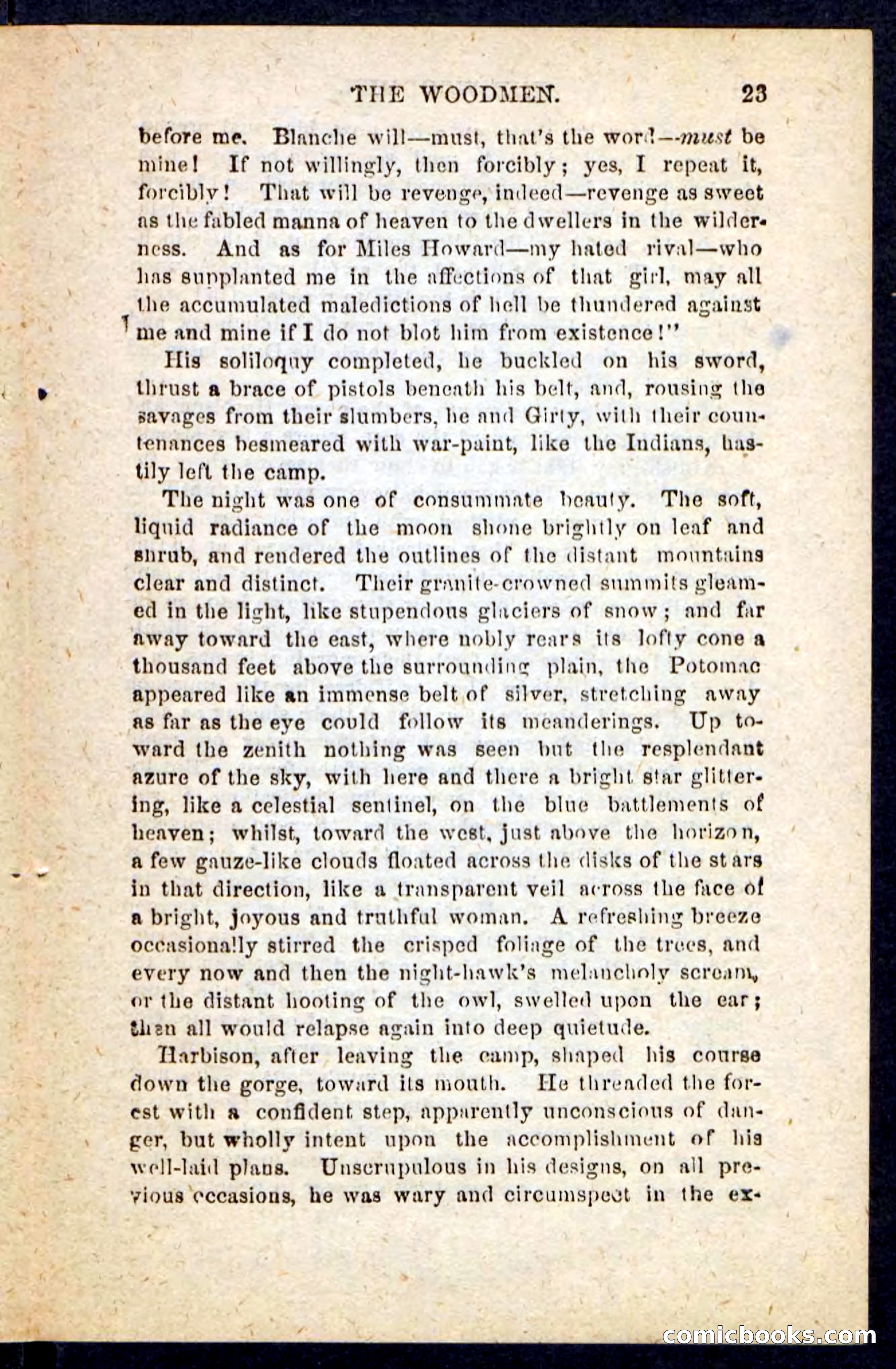Beadle's Pocket Novels No. 214: The Backwoodsmen — page 19 of 100