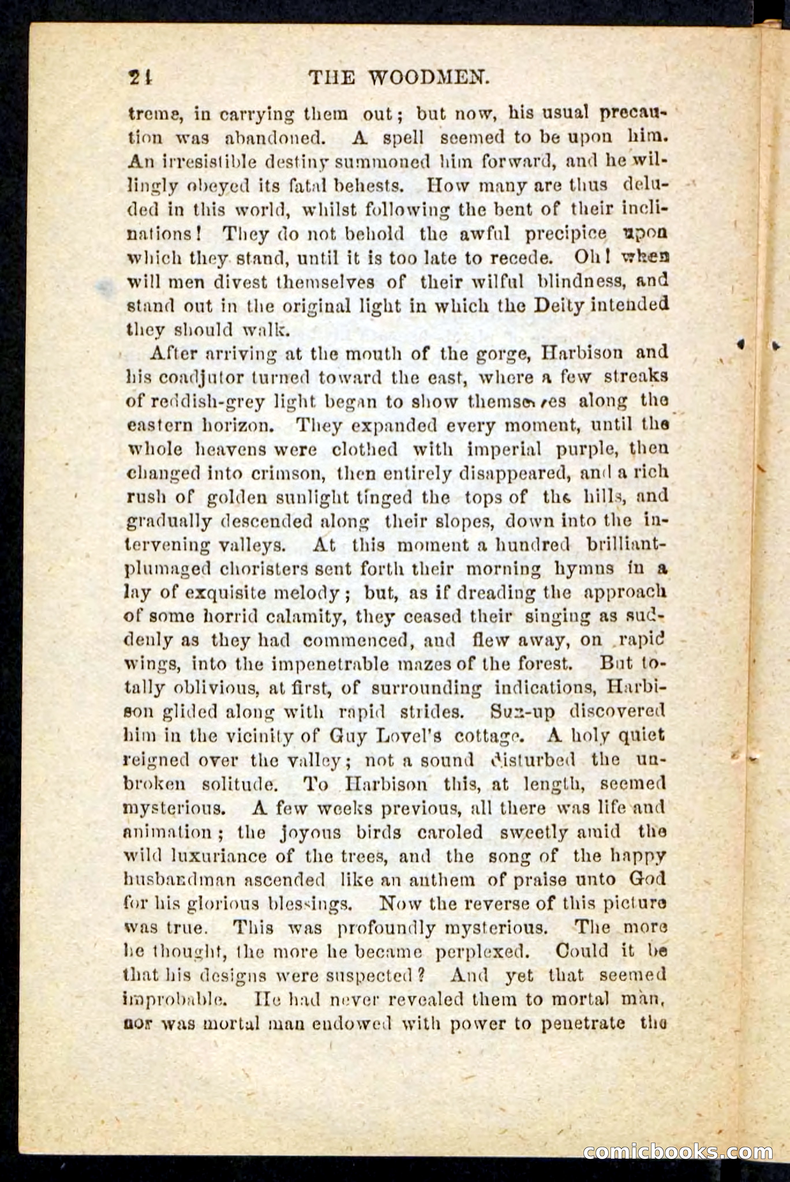 Beadle's Pocket Novels No. 214: The Backwoodsmen — page 20 of 100