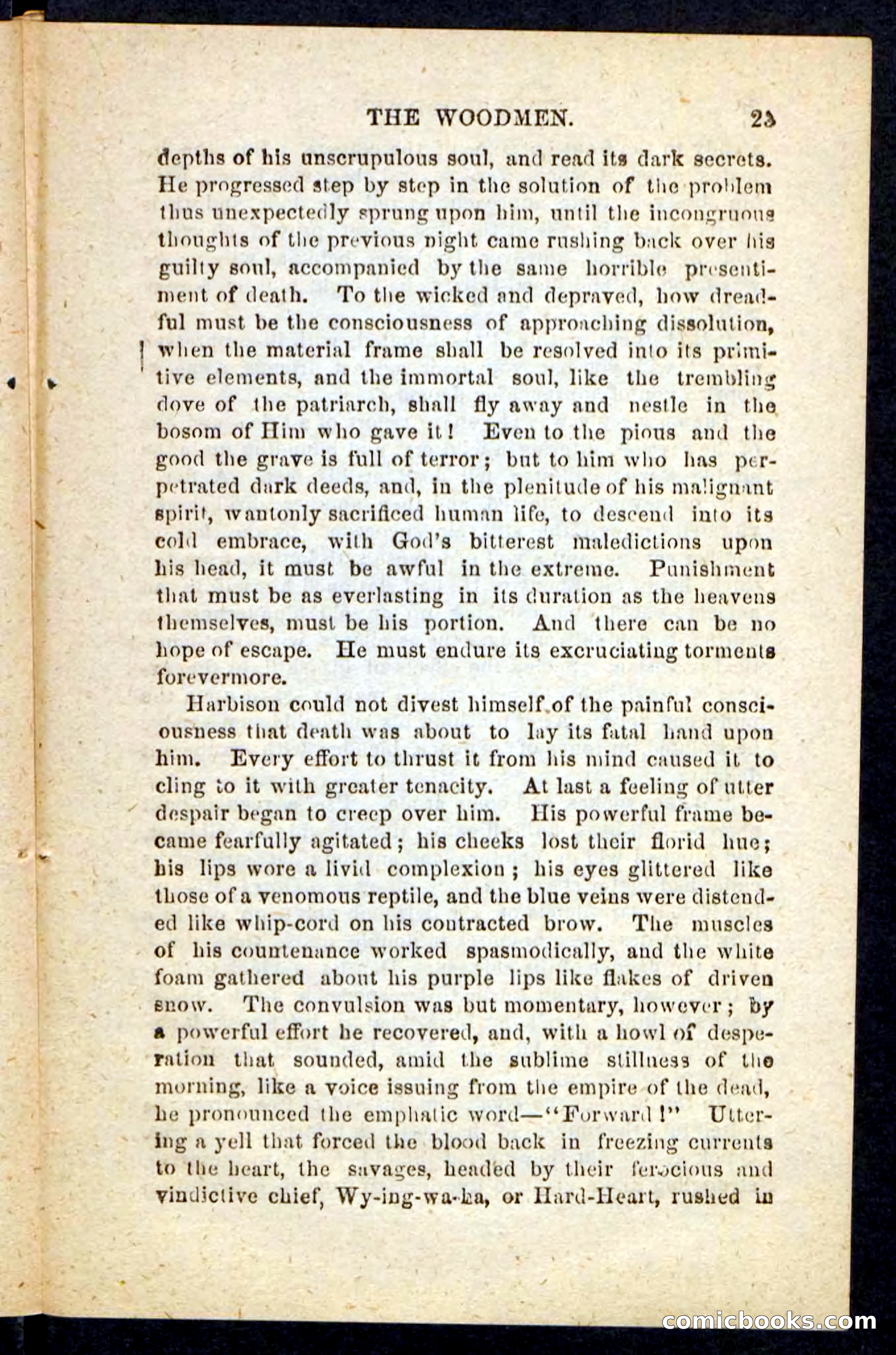 Beadle's Pocket Novels No. 214: The Backwoodsmen — page 21 of 100