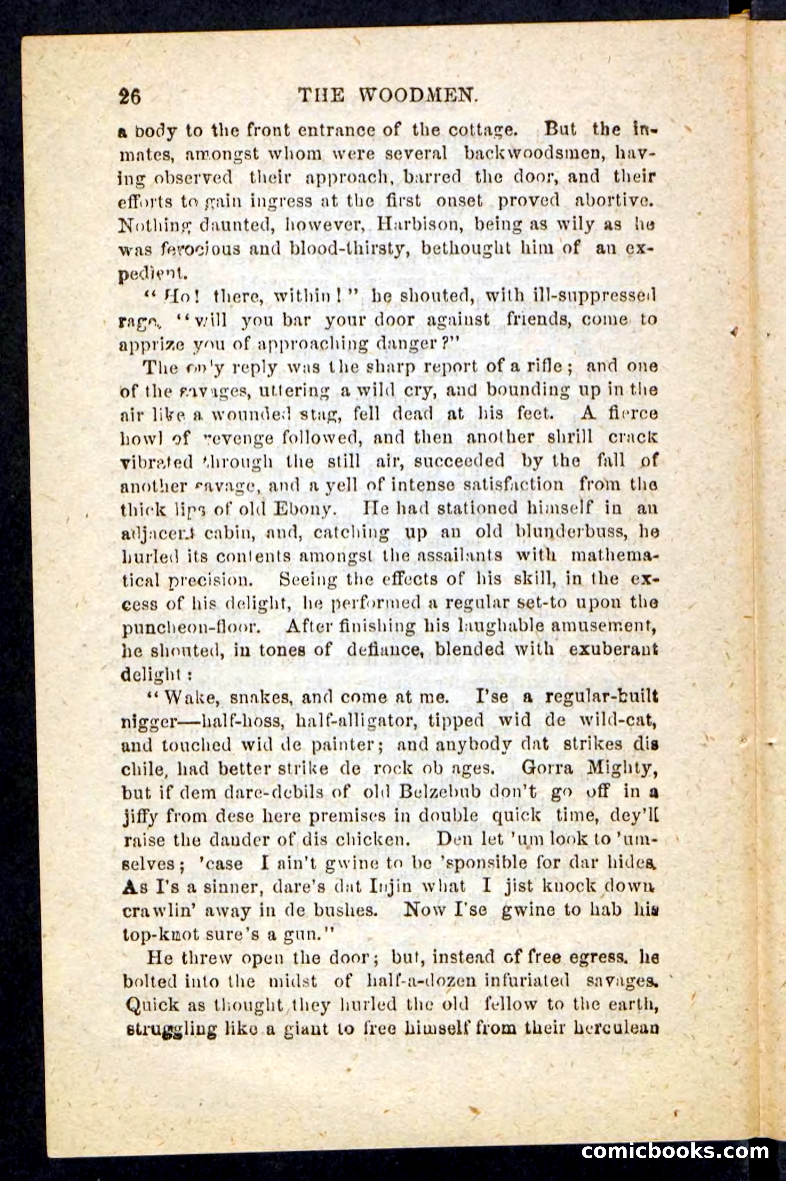 Beadle's Pocket Novels No. 214: The Backwoodsmen — page 22 of 100