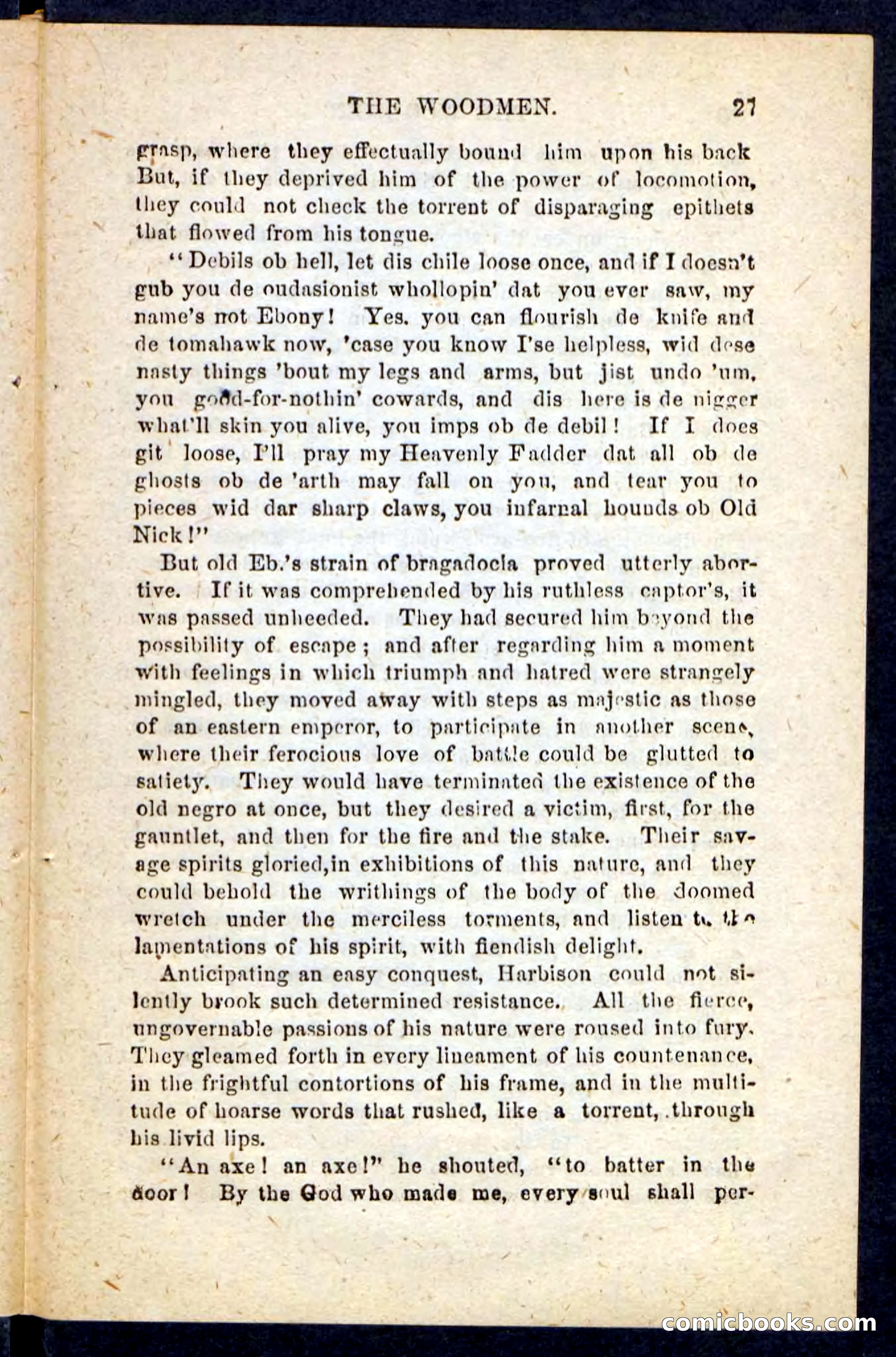 Beadle's Pocket Novels No. 214: The Backwoodsmen — page 23 of 100