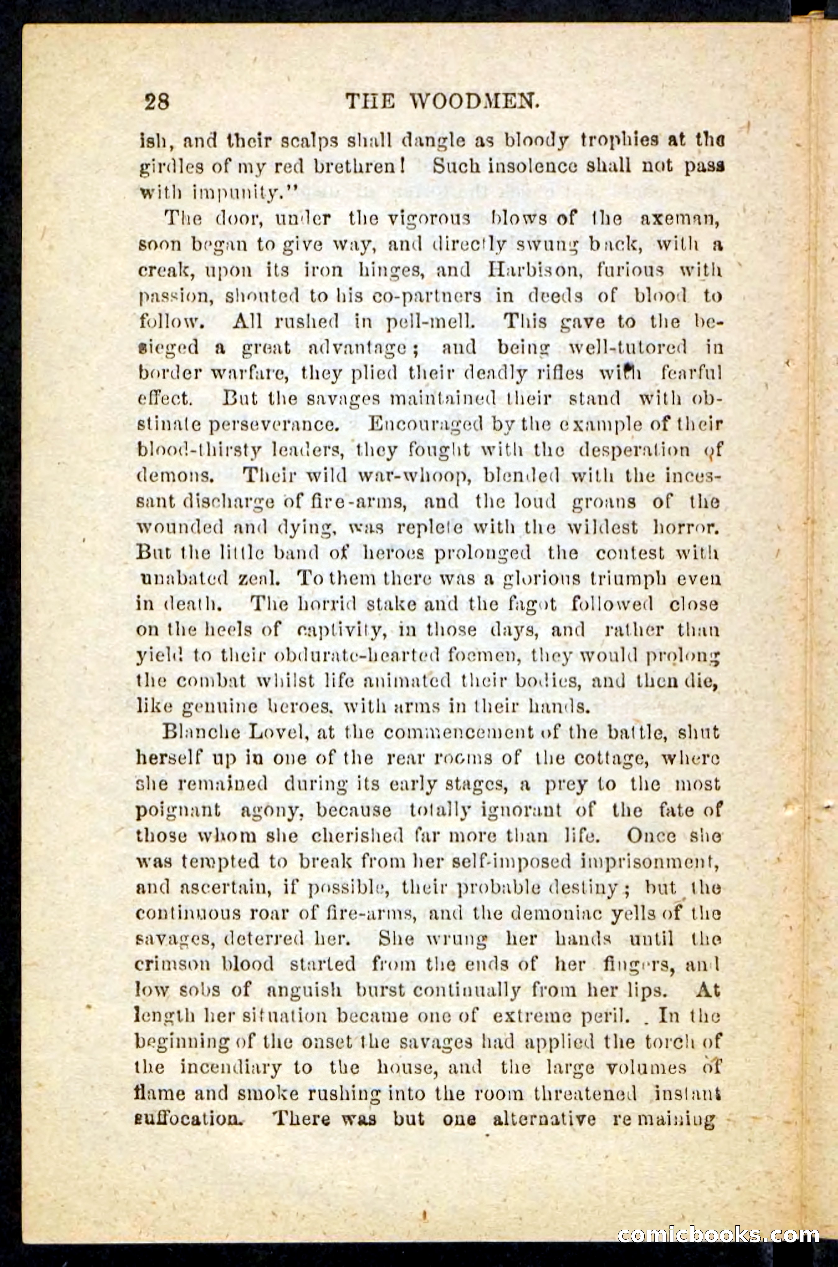 Beadle's Pocket Novels No. 214: The Backwoodsmen — page 24 of 100
