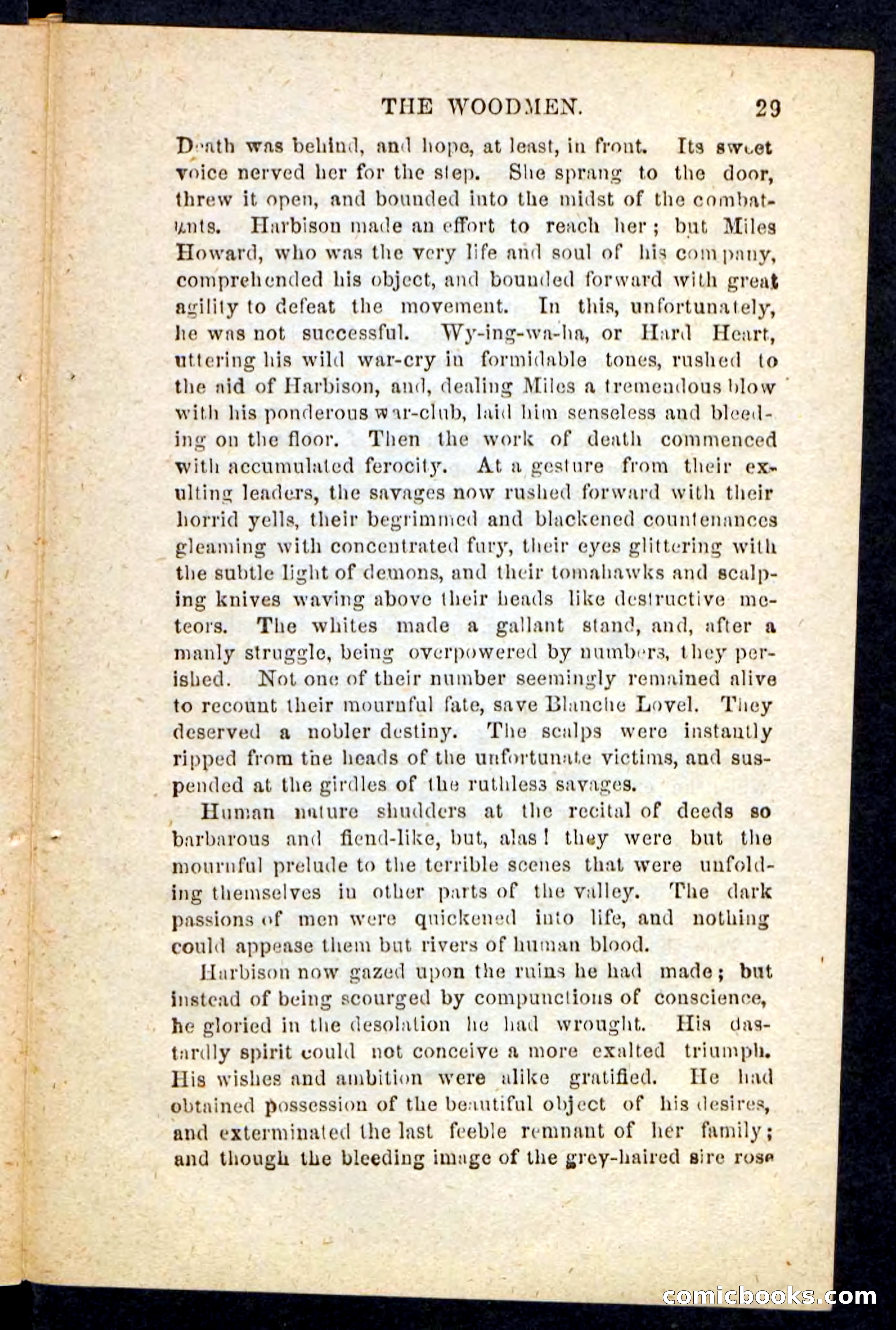 Beadle's Pocket Novels No. 214: The Backwoodsmen — page 25 of 100