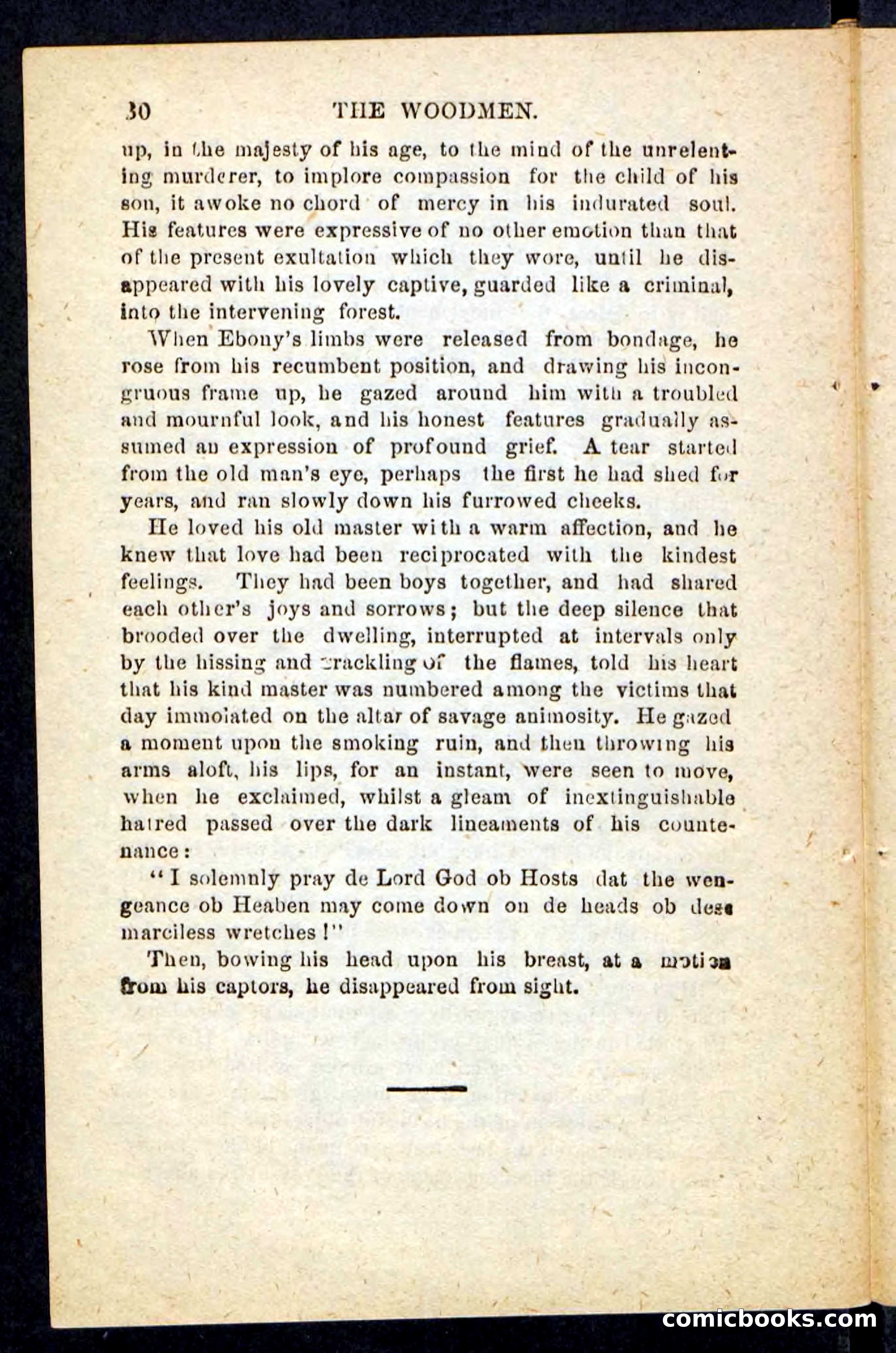 Beadle's Pocket Novels No. 214: The Backwoodsmen — page 26 of 100