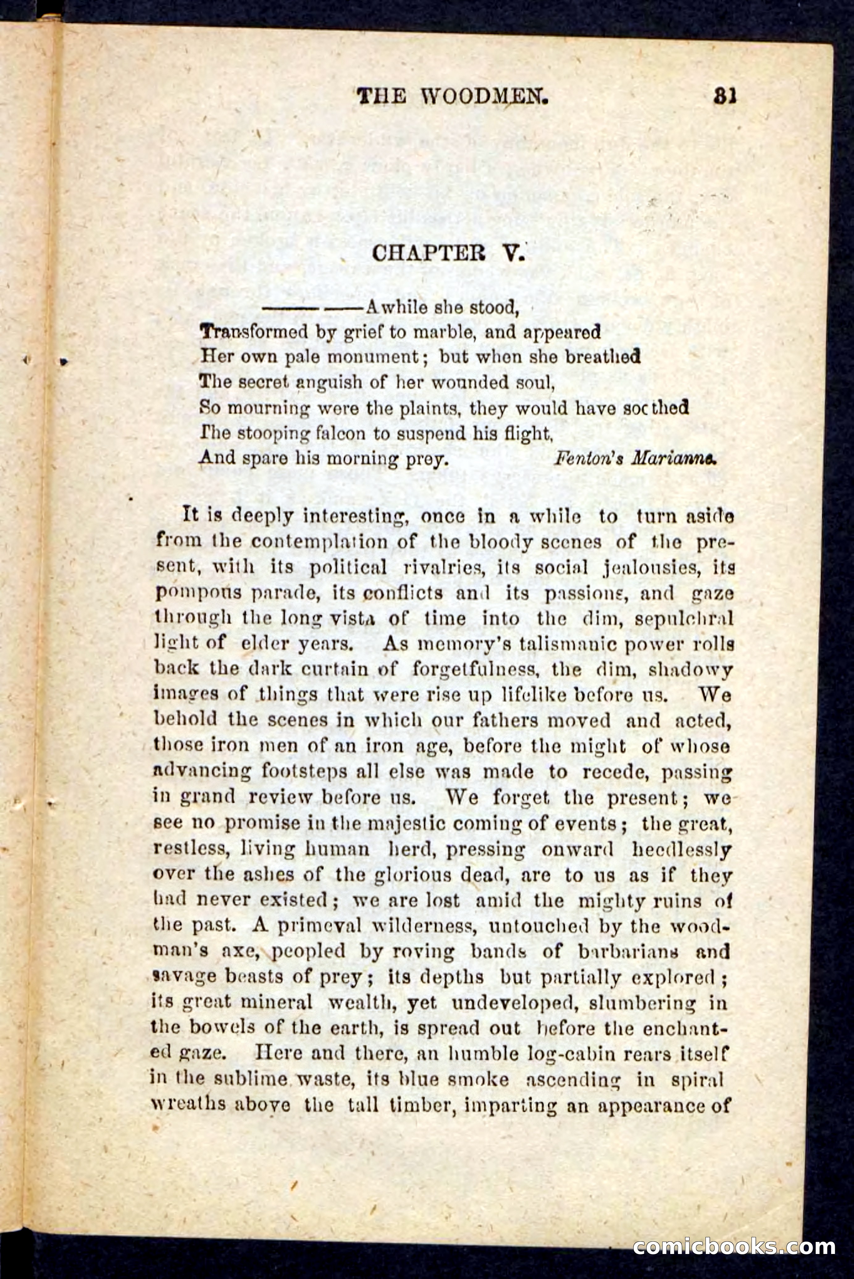 Beadle's Pocket Novels No. 214: The Backwoodsmen — page 27 of 100