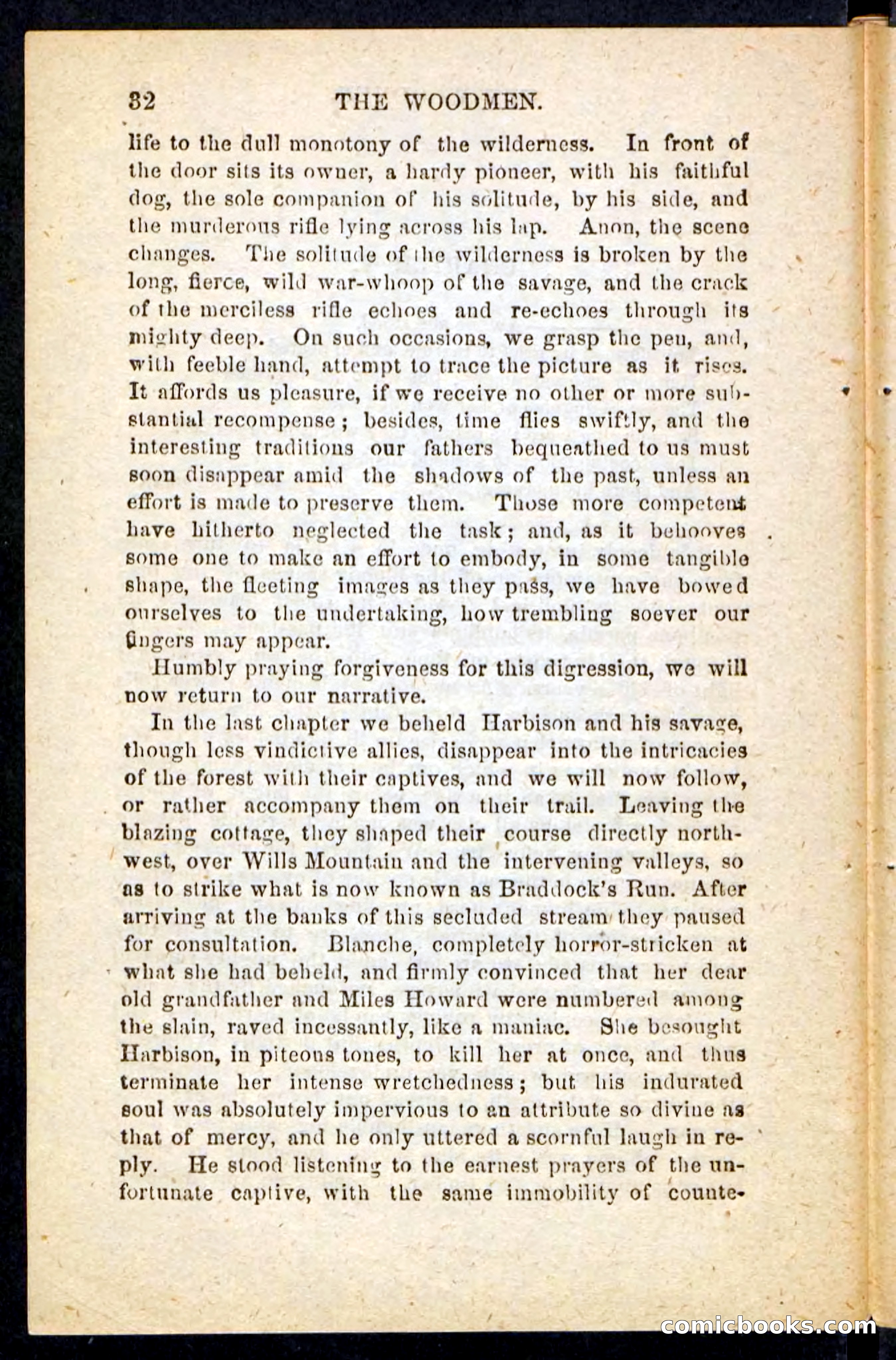 Beadle's Pocket Novels No. 214: The Backwoodsmen — page 28 of 100