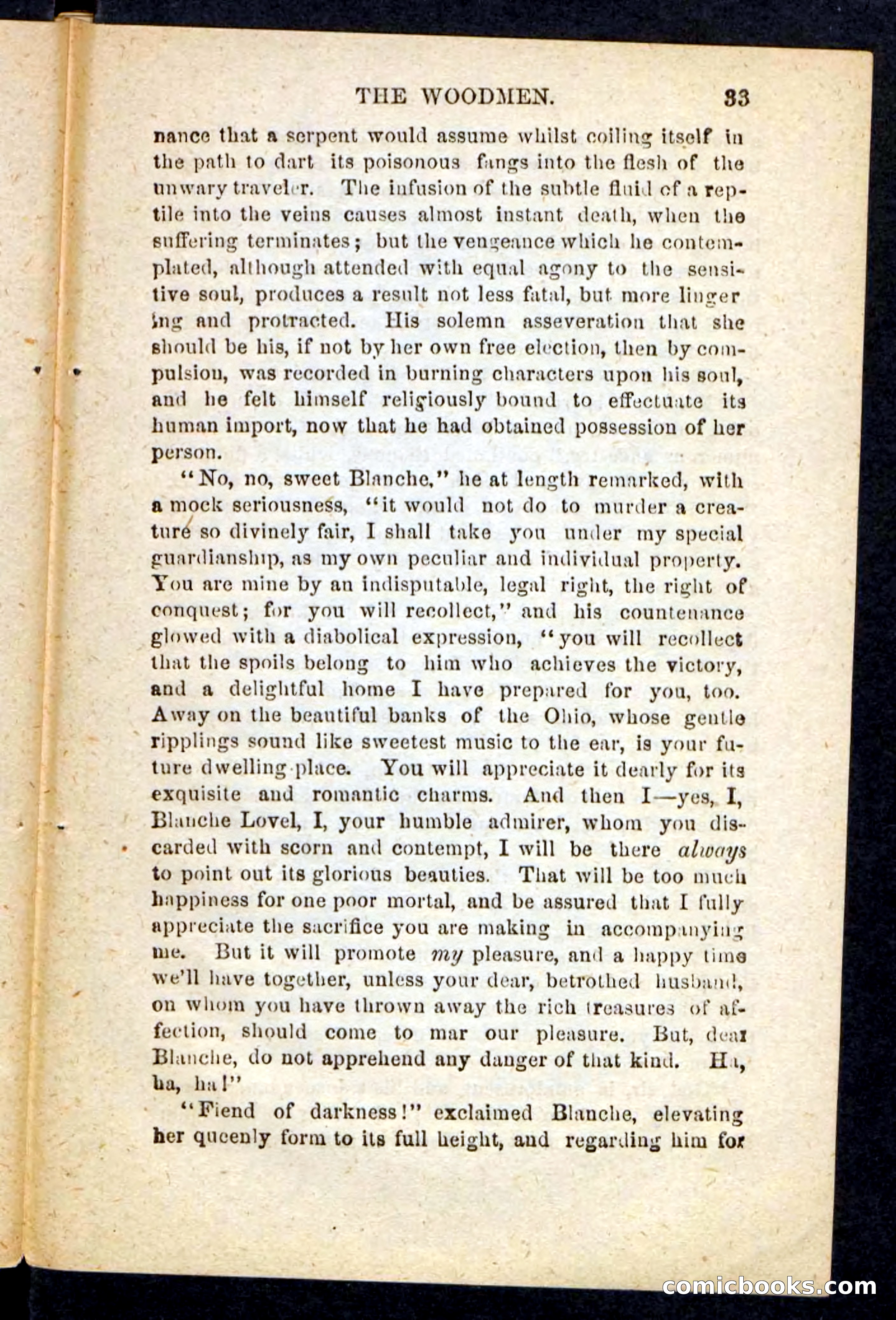 Beadle's Pocket Novels No. 214: The Backwoodsmen — page 29 of 100