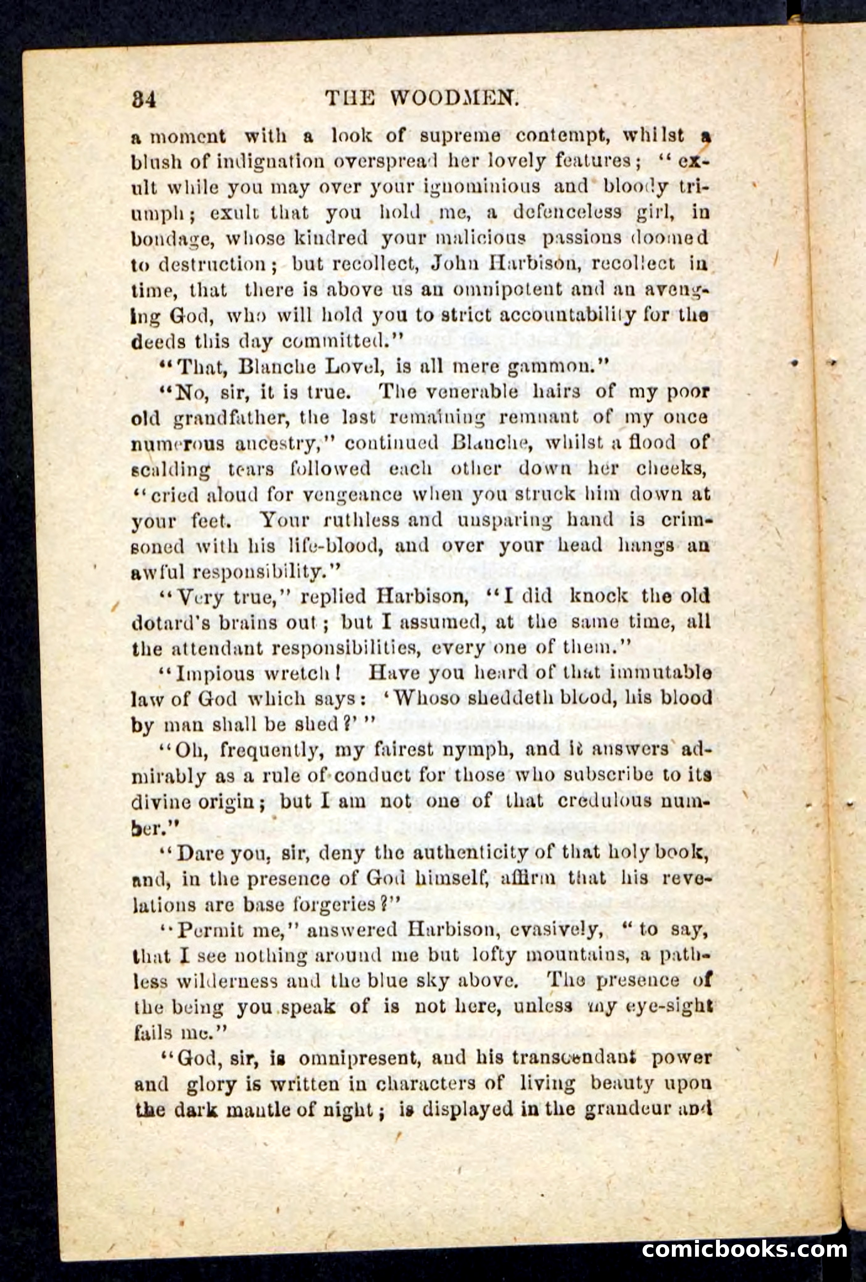 Beadle's Pocket Novels No. 214: The Backwoodsmen — page 30 of 100
