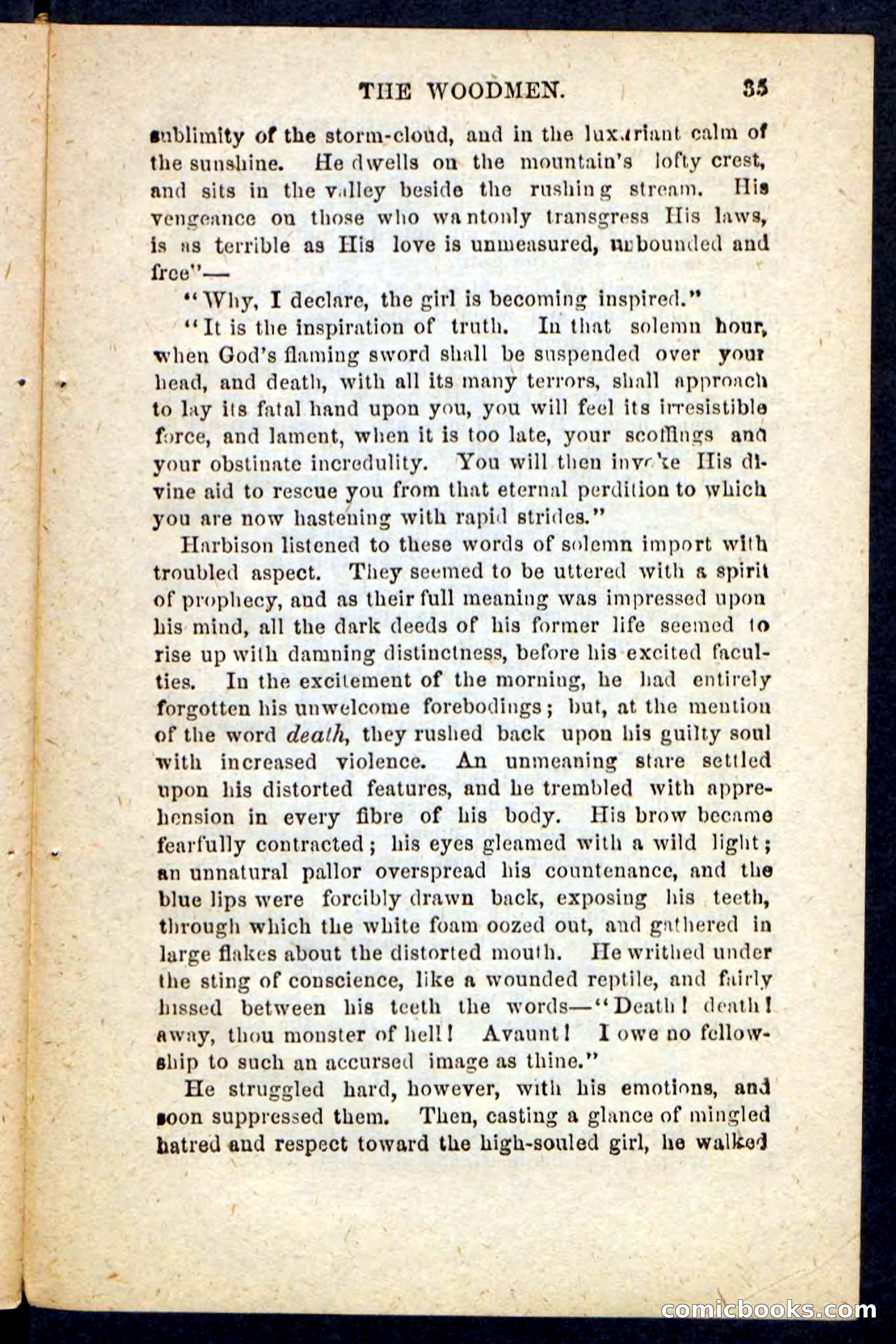 Beadle's Pocket Novels No. 214: The Backwoodsmen — page 31 of 100