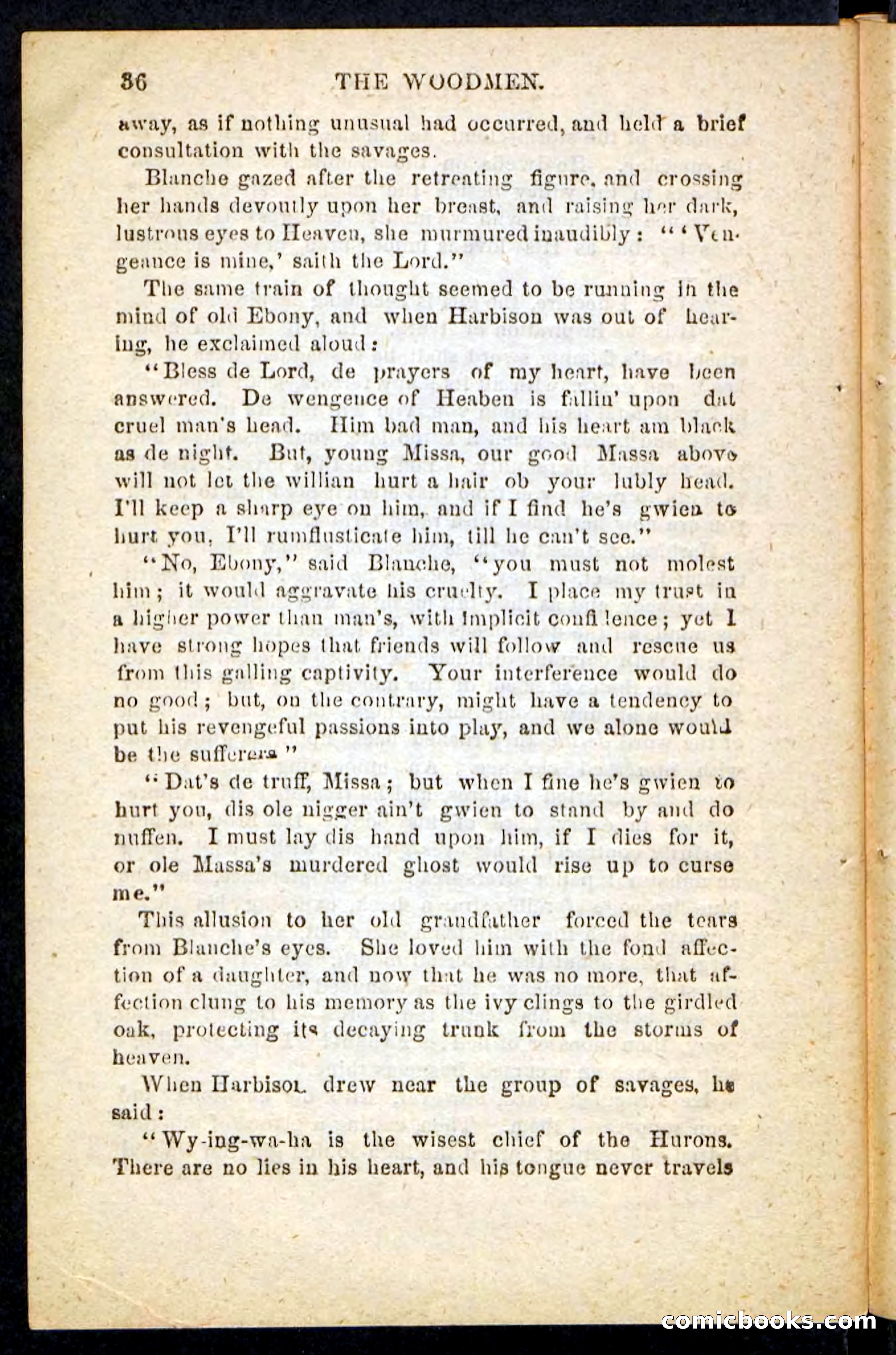 Beadle's Pocket Novels No. 214: The Backwoodsmen — page 32 of 100