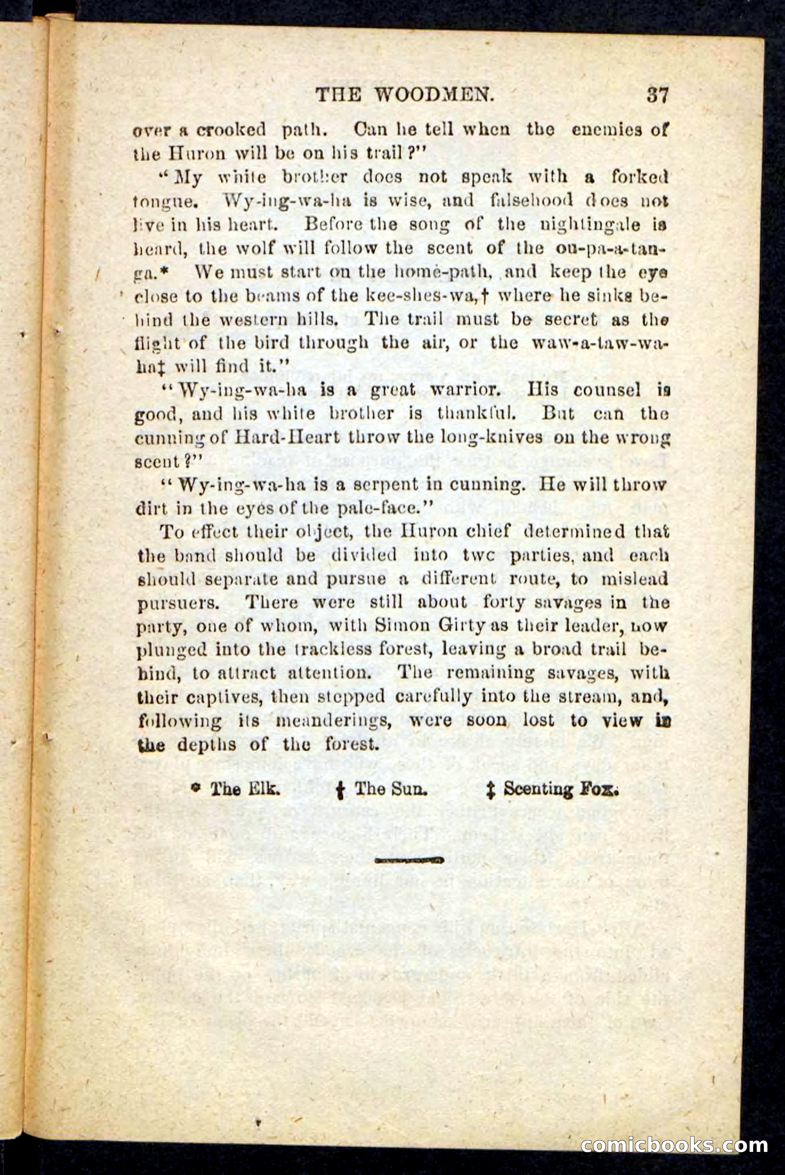 Beadle's Pocket Novels No. 214: The Backwoodsmen — page 33 of 100