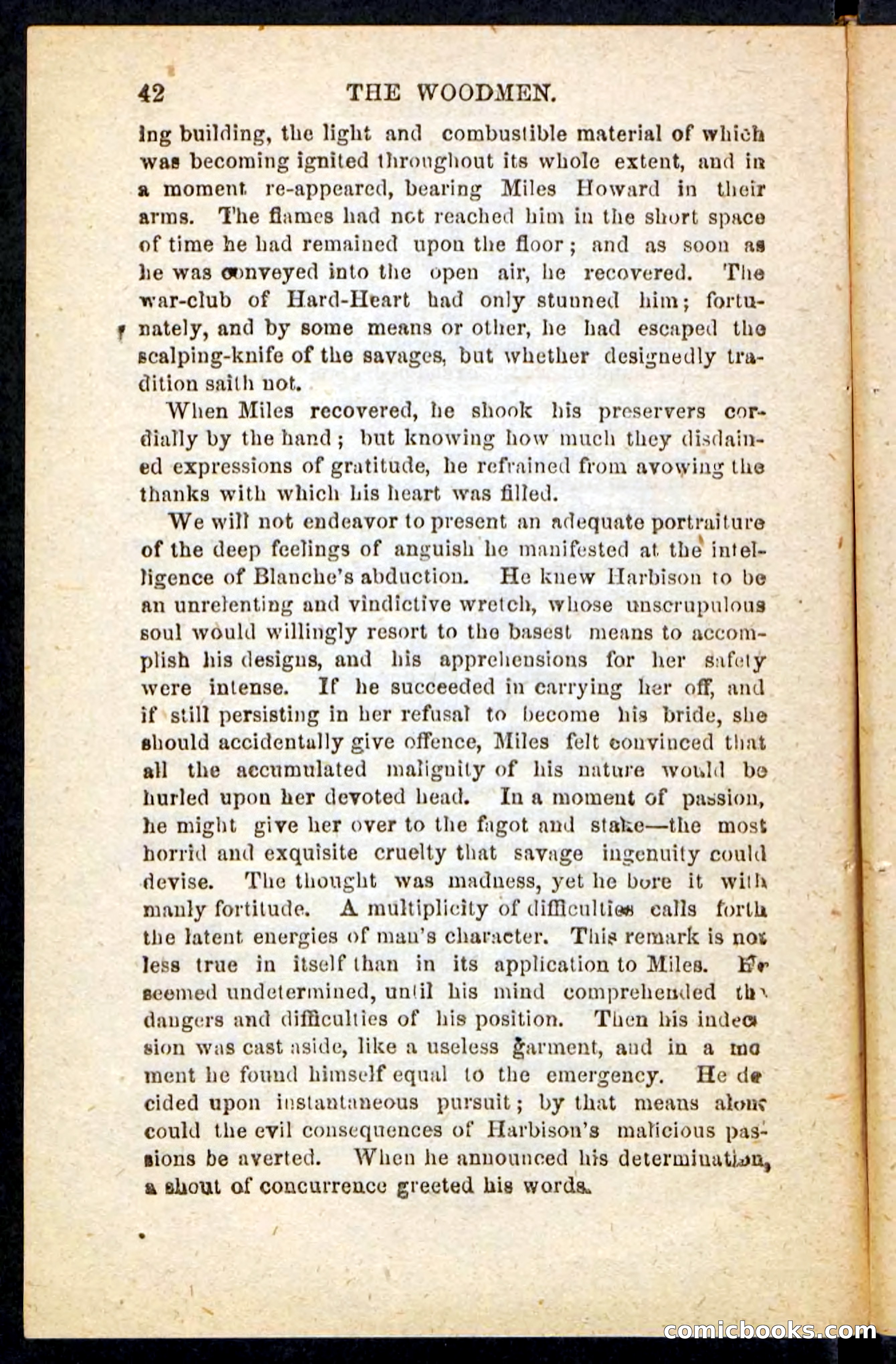 Beadle's Pocket Novels No. 214: The Backwoodsmen — page 38 of 100