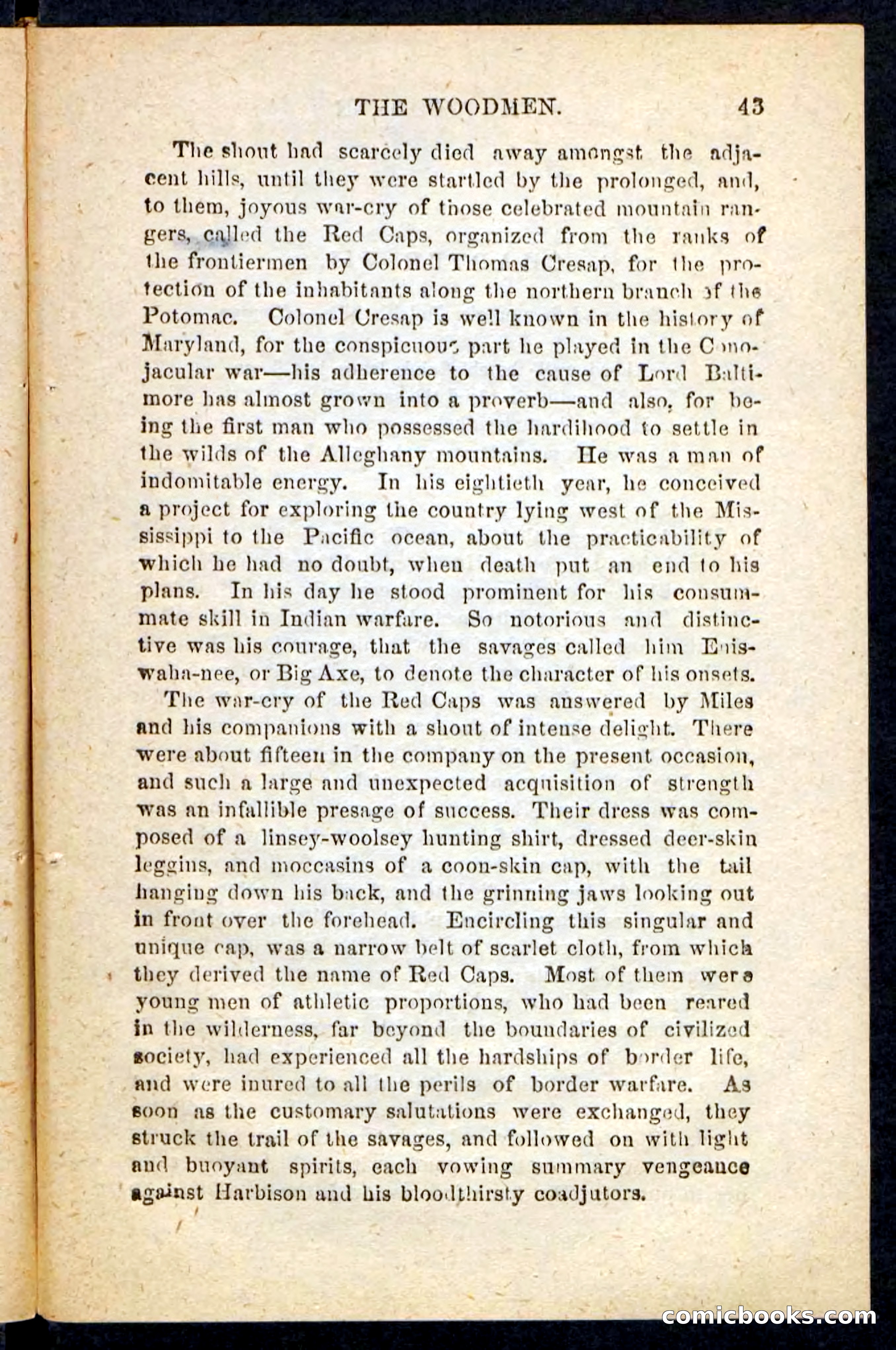 Beadle's Pocket Novels No. 214: The Backwoodsmen — page 39 of 100