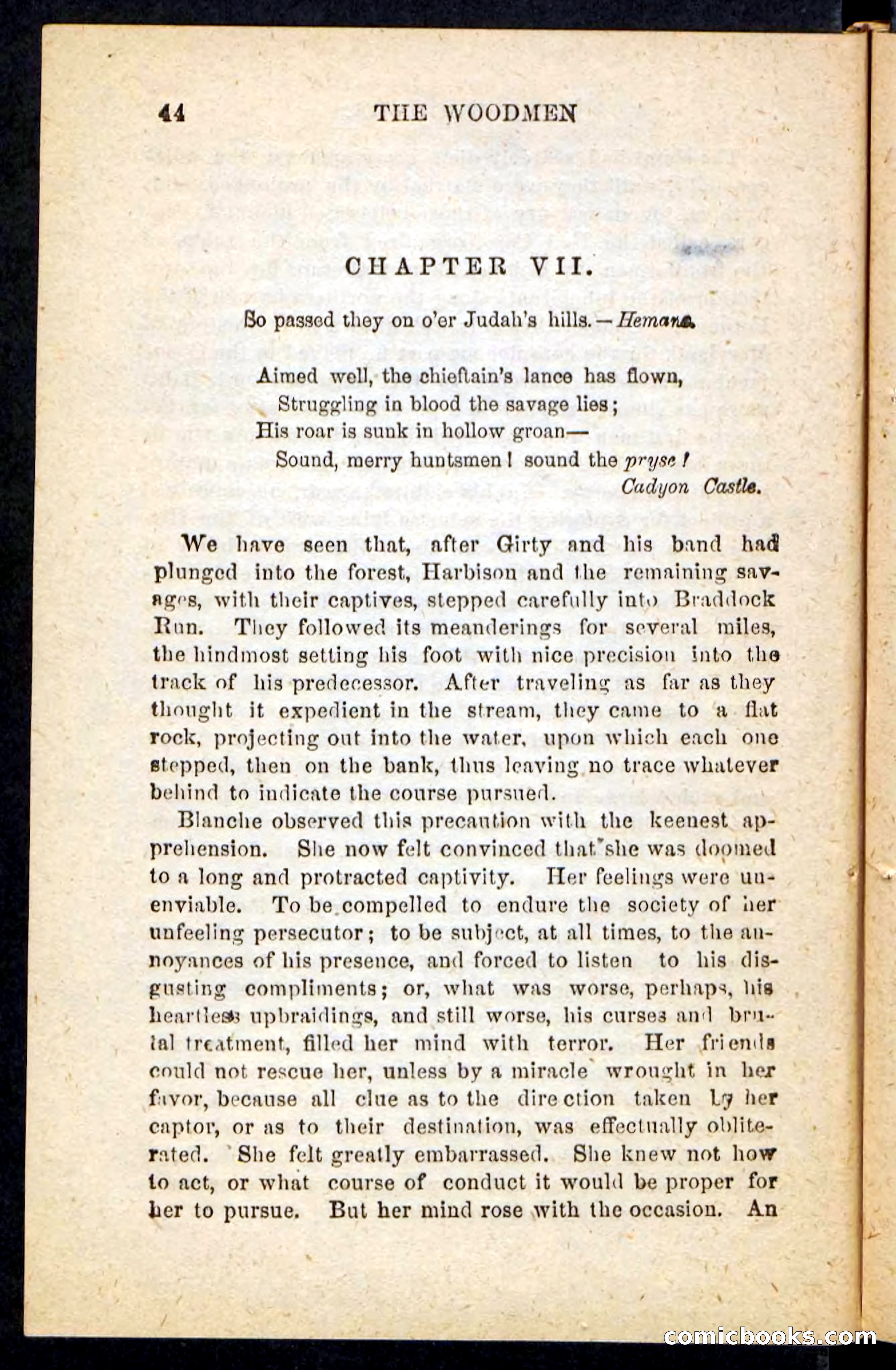 Beadle's Pocket Novels No. 214: The Backwoodsmen — page 40 of 100