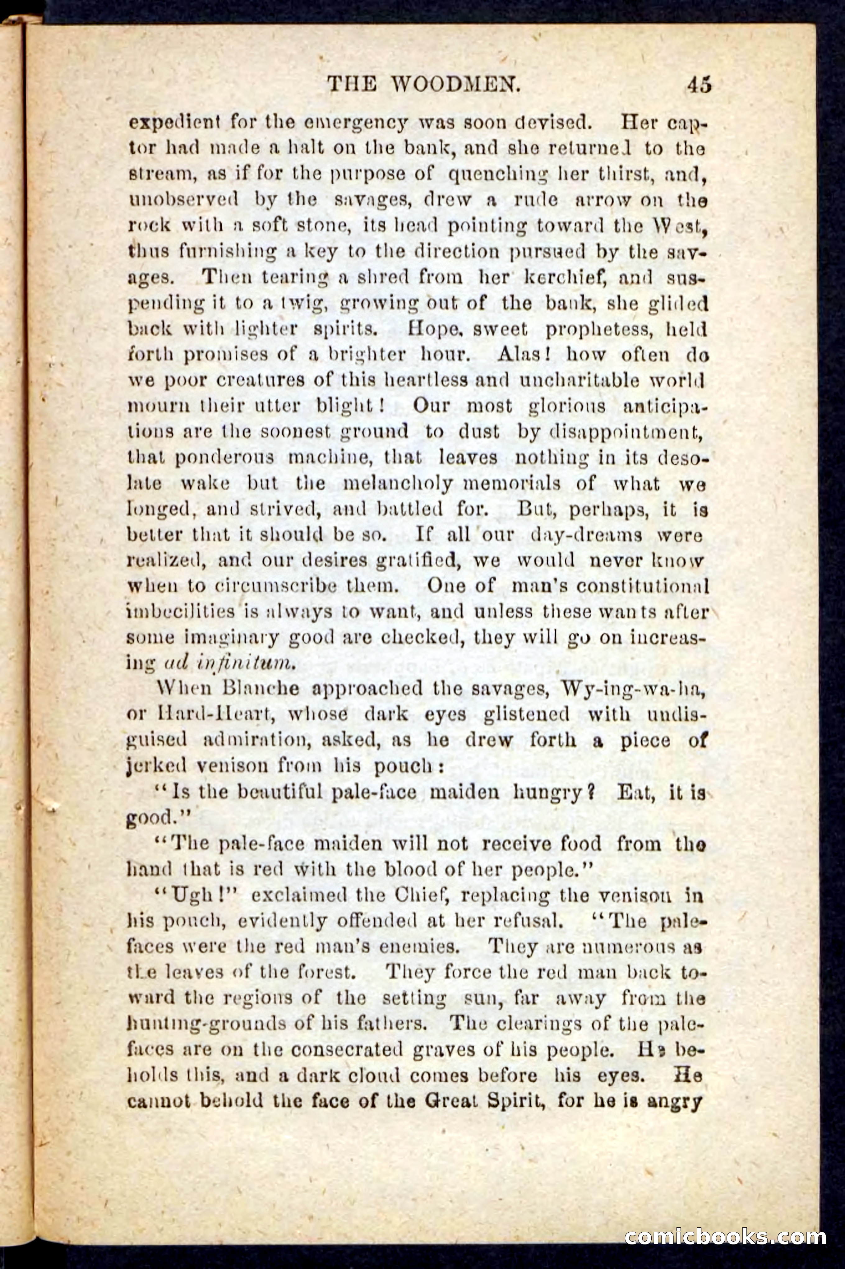 Beadle's Pocket Novels No. 214: The Backwoodsmen — page 41 of 100