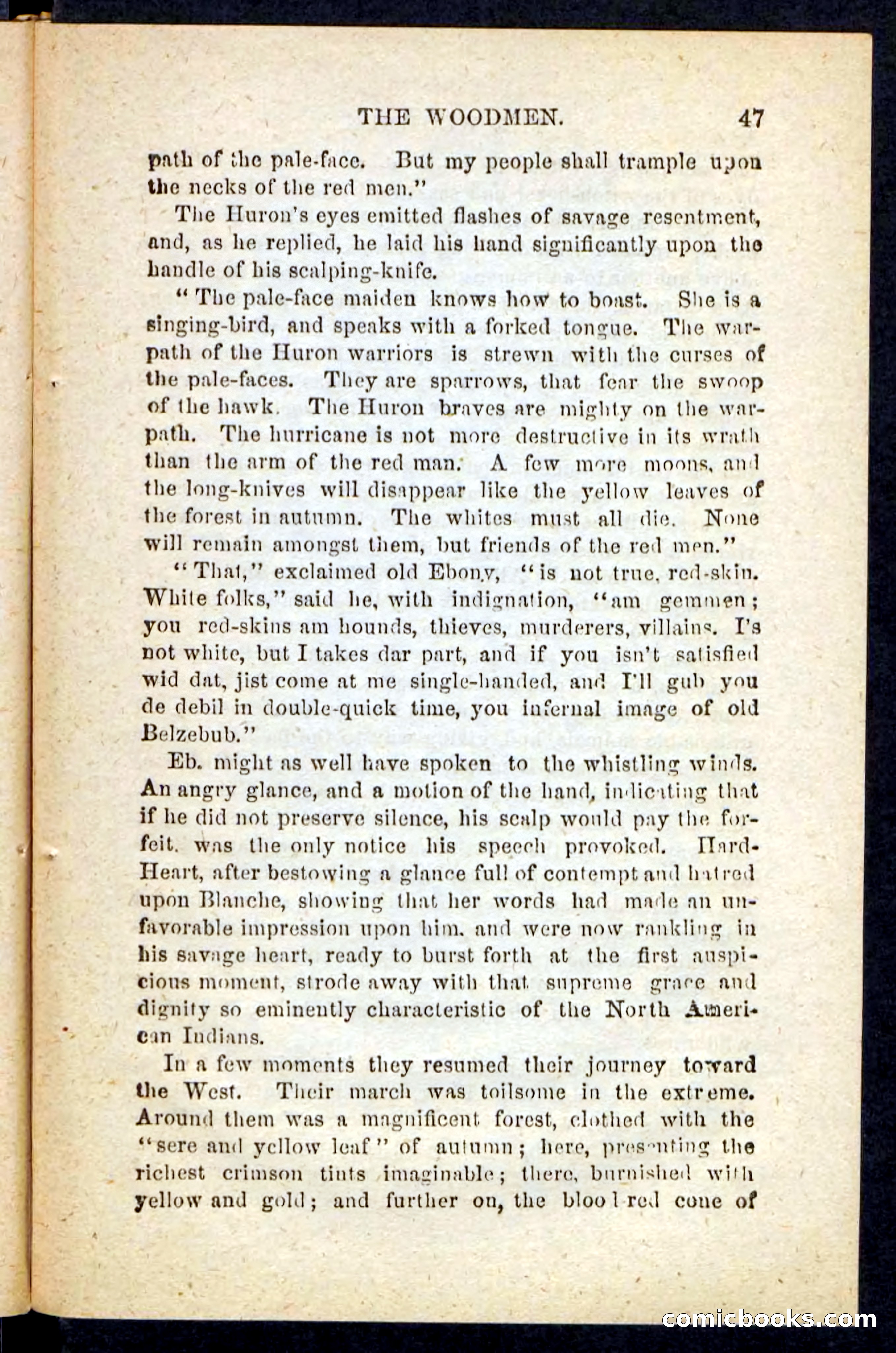 Beadle's Pocket Novels No. 214: The Backwoodsmen — page 43 of 100