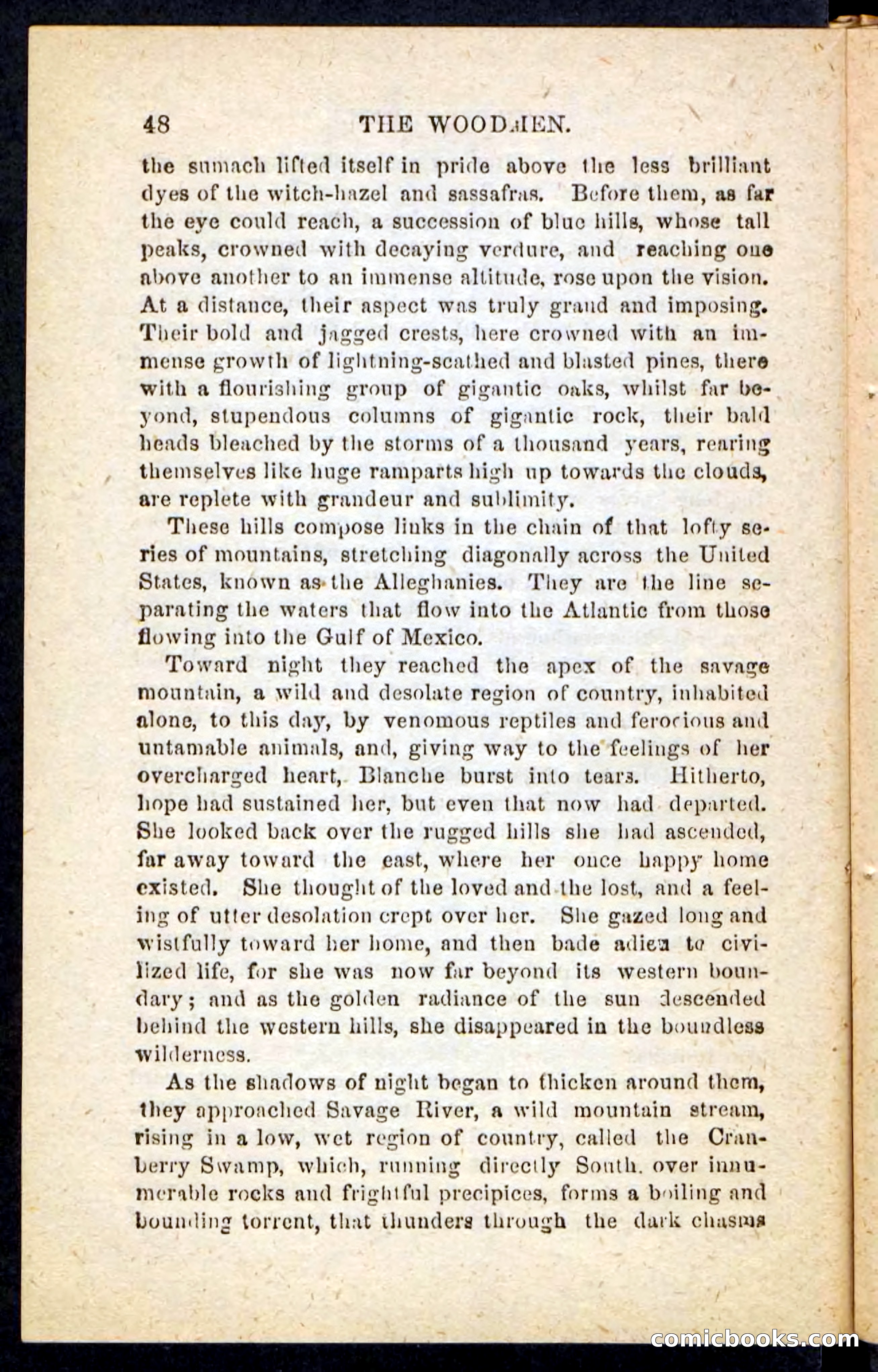 Beadle's Pocket Novels No. 214: The Backwoodsmen — page 44 of 100