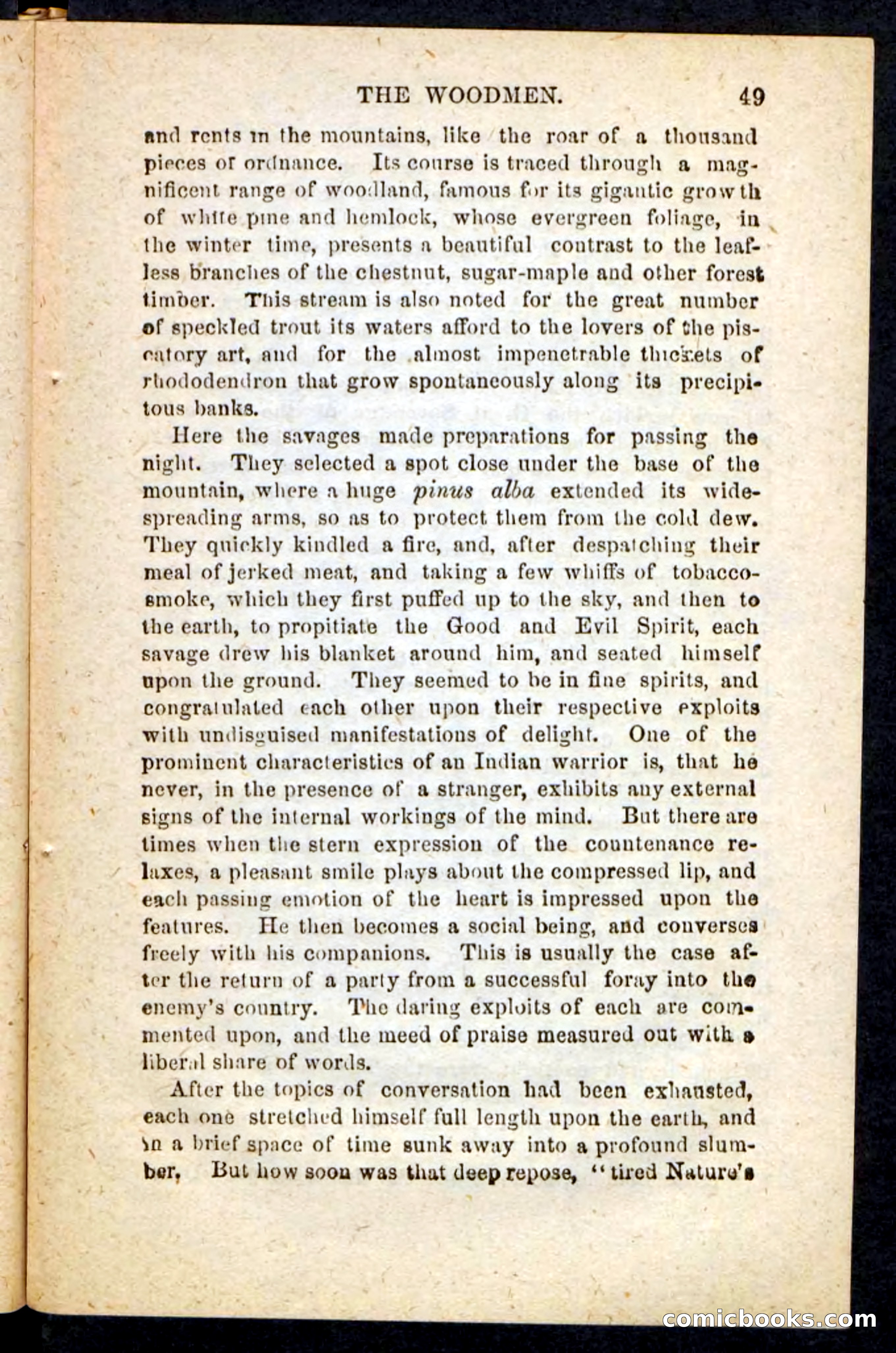 Beadle's Pocket Novels No. 214: The Backwoodsmen — page 45 of 100