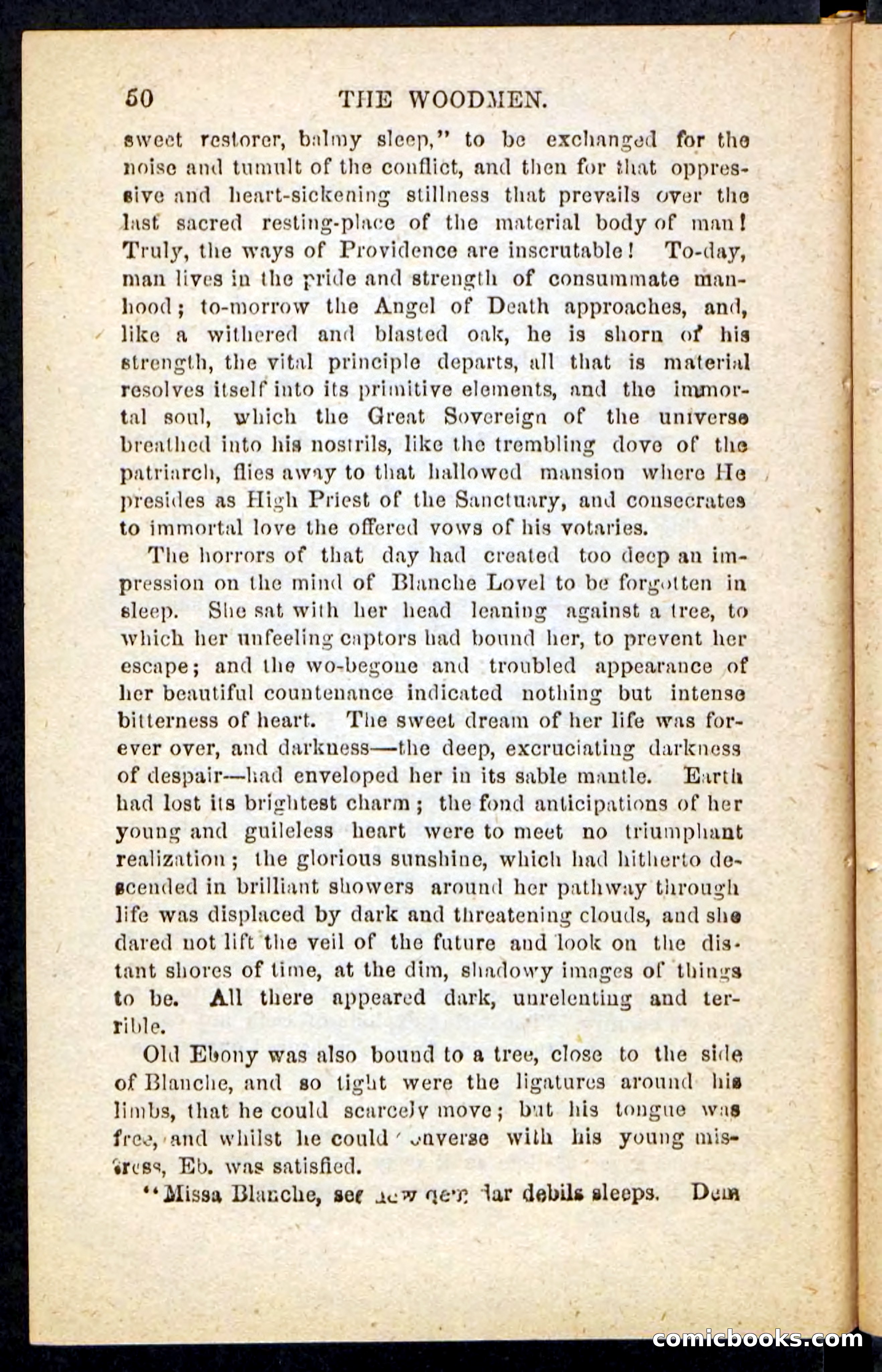 Beadle's Pocket Novels No. 214: The Backwoodsmen — page 46 of 100