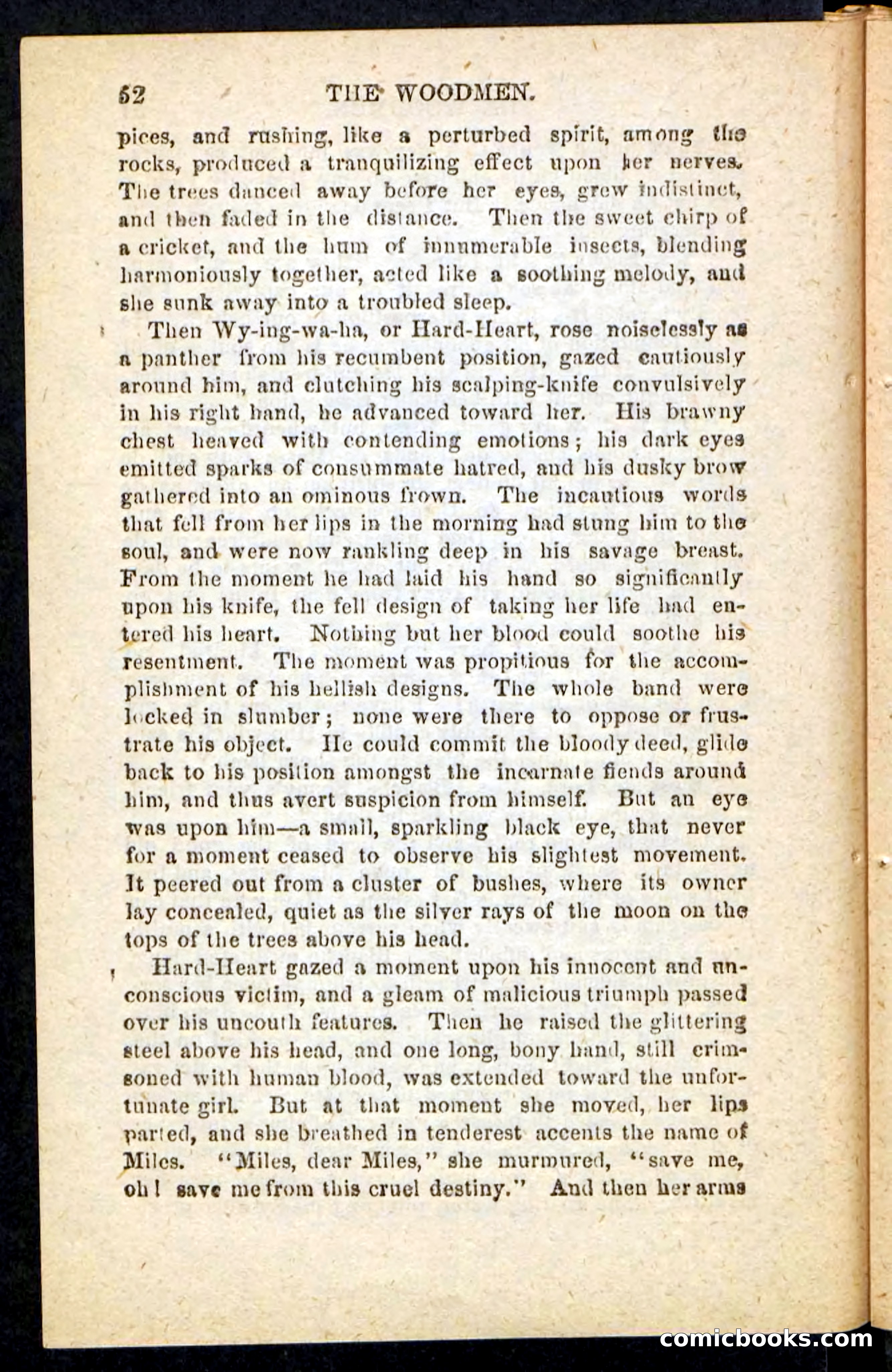 Beadle's Pocket Novels No. 214: The Backwoodsmen — page 48 of 100
