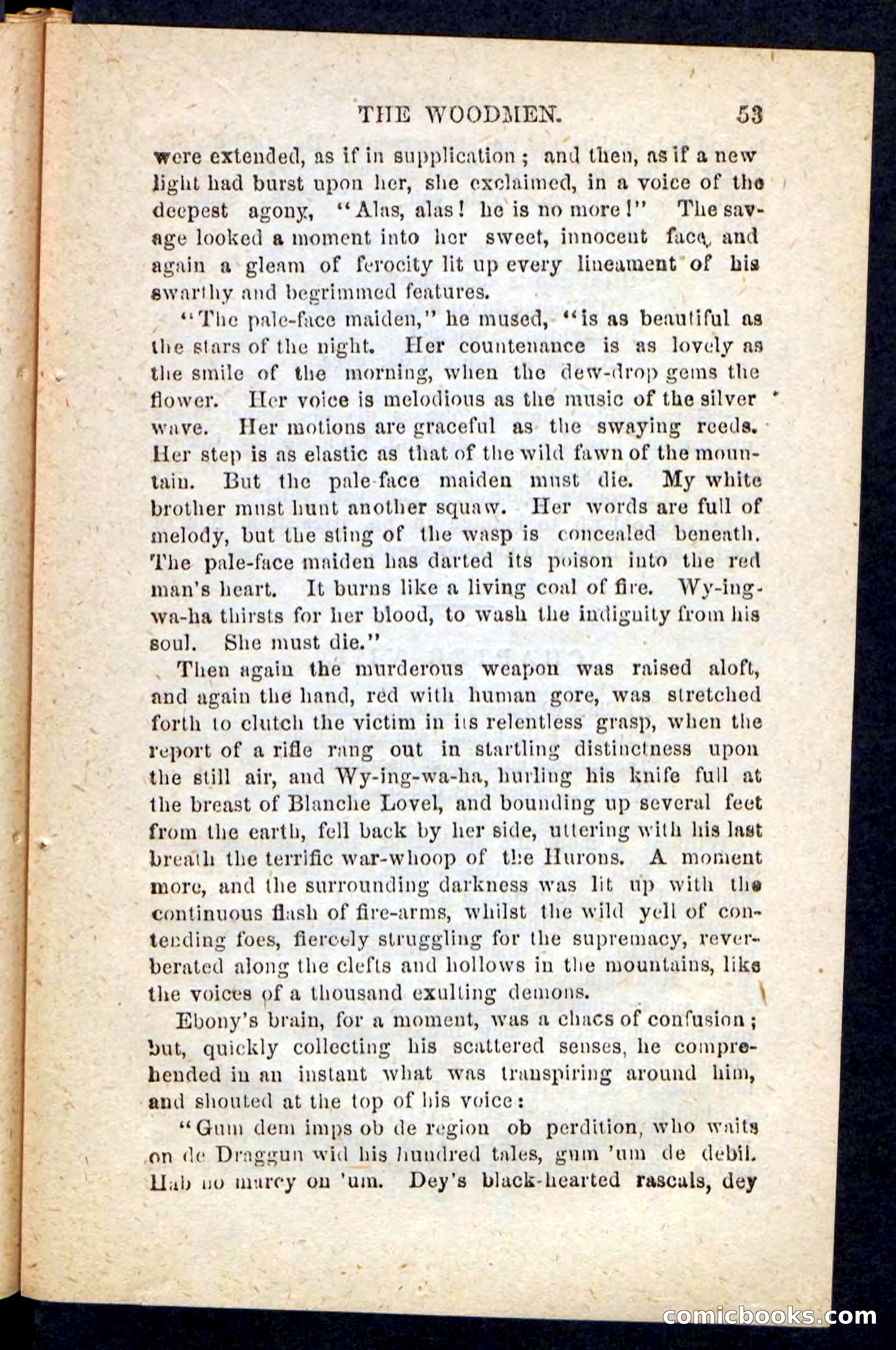 Beadle's Pocket Novels No. 214: The Backwoodsmen — page 49 of 100