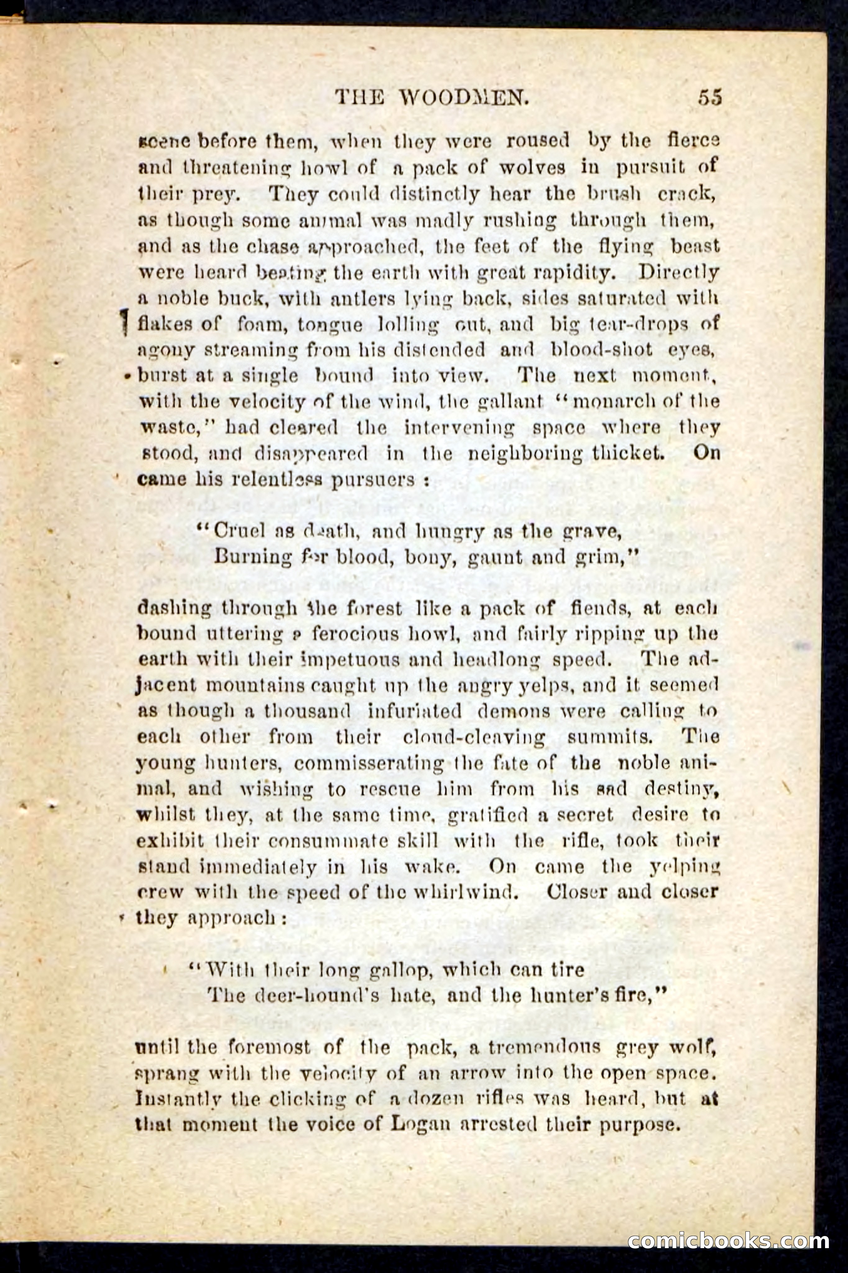 Beadle's Pocket Novels No. 214: The Backwoodsmen — page 51 of 100
