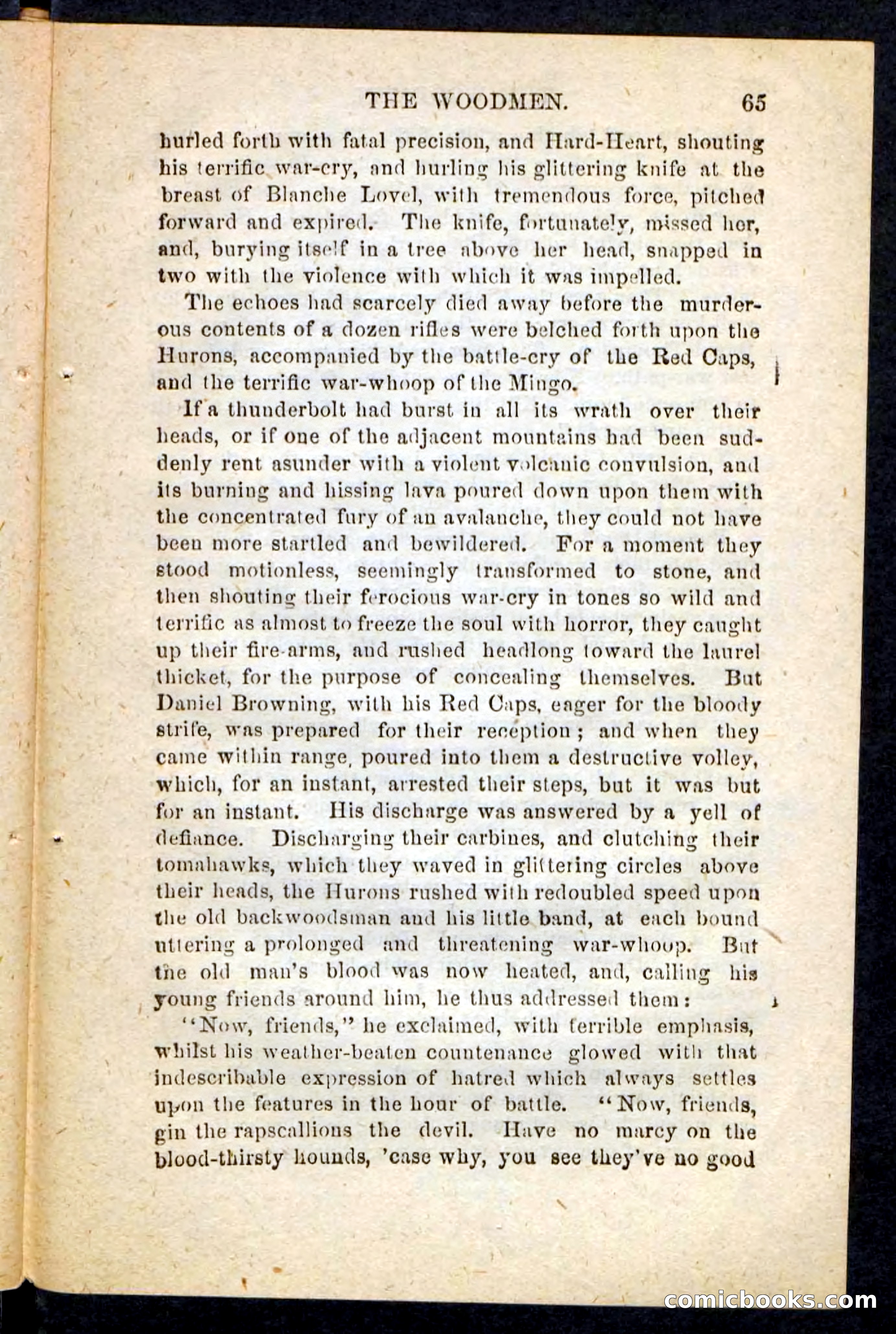 Beadle's Pocket Novels No. 214: The Backwoodsmen — page 61 of 100