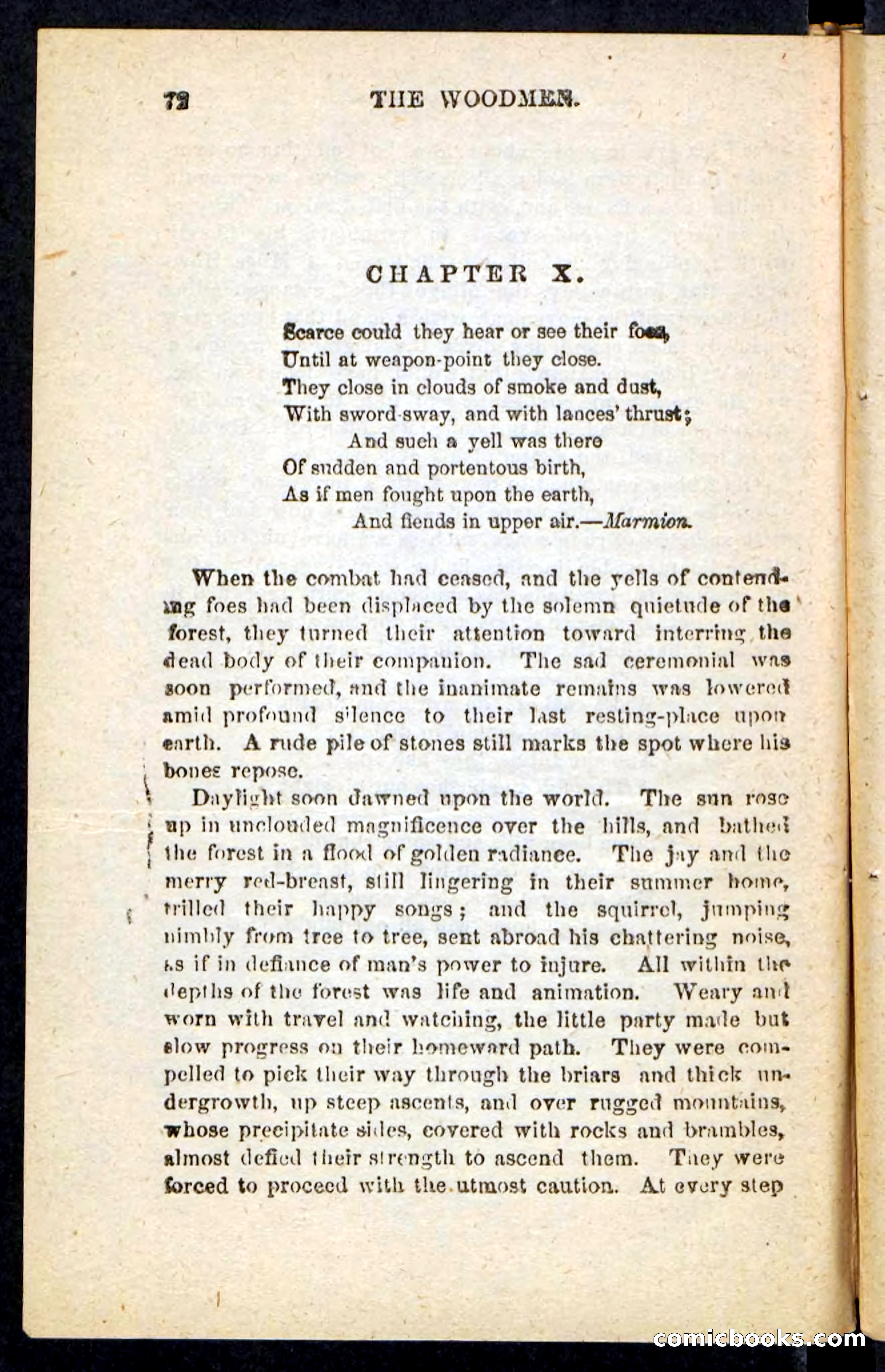 Beadle's Pocket Novels No. 214: The Backwoodsmen — page 68 of 100