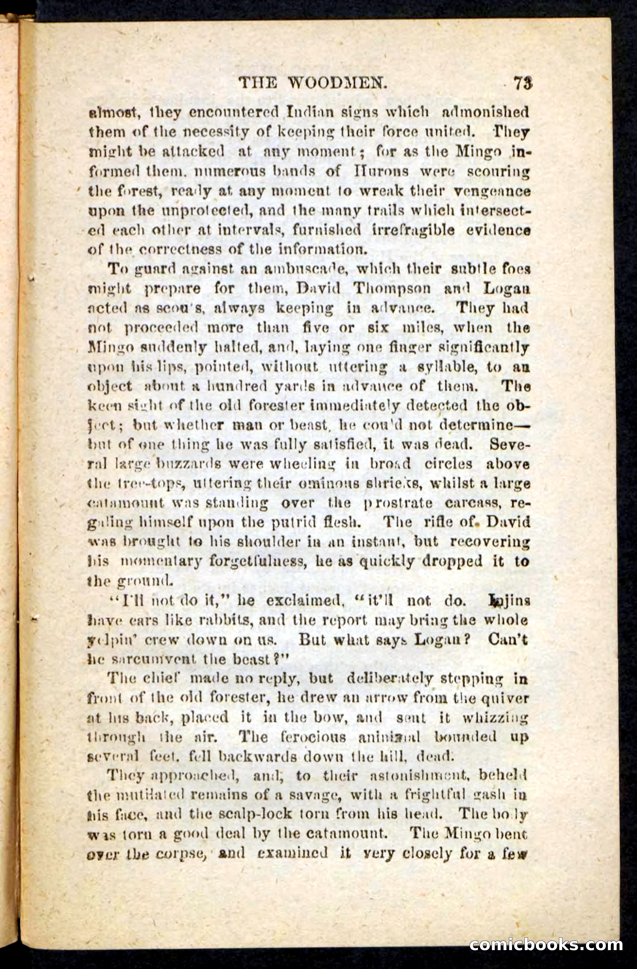 Beadle's Pocket Novels No. 214: The Backwoodsmen — page 69 of 100