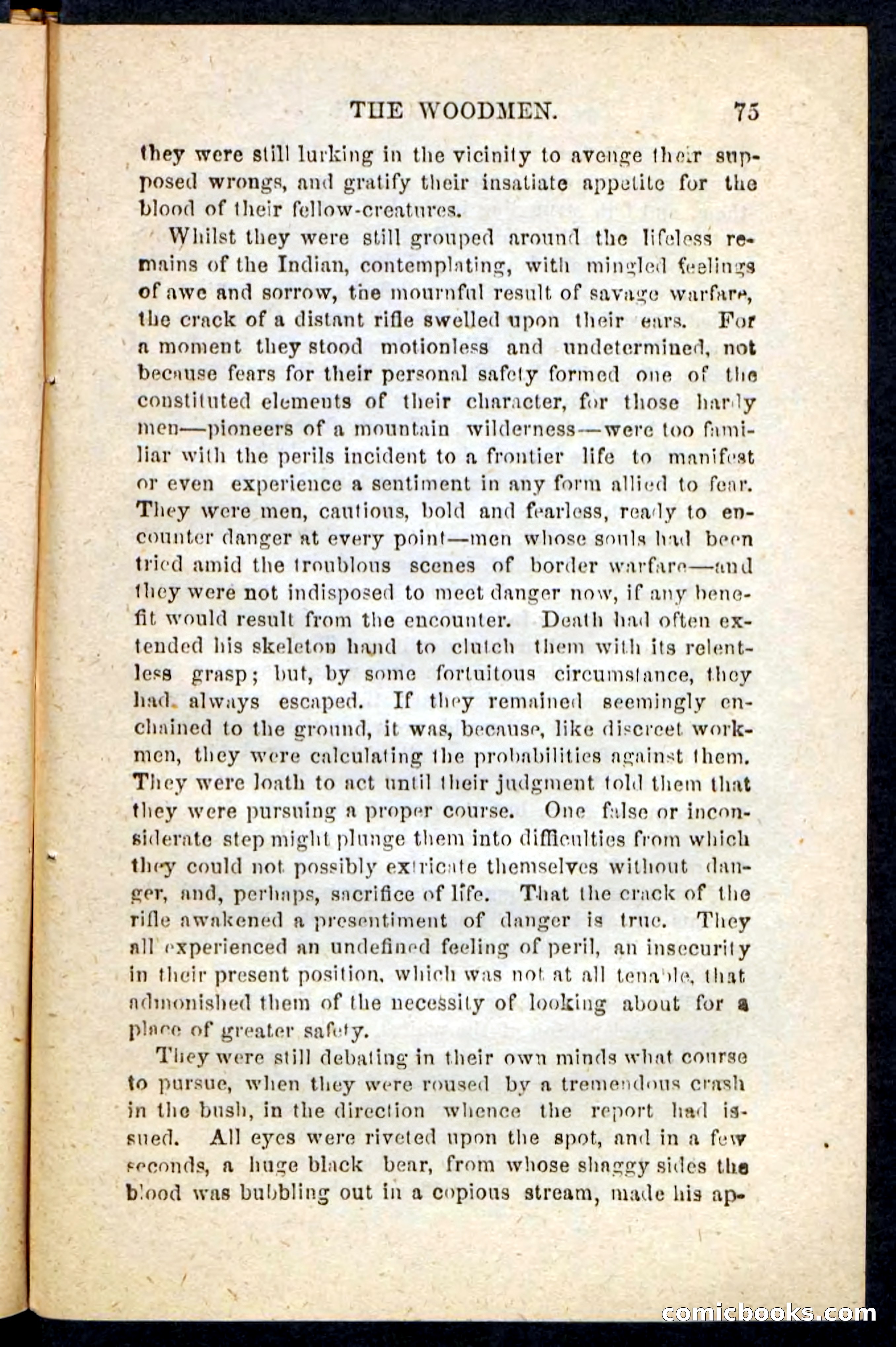 Beadle's Pocket Novels No. 214: The Backwoodsmen — page 71 of 100