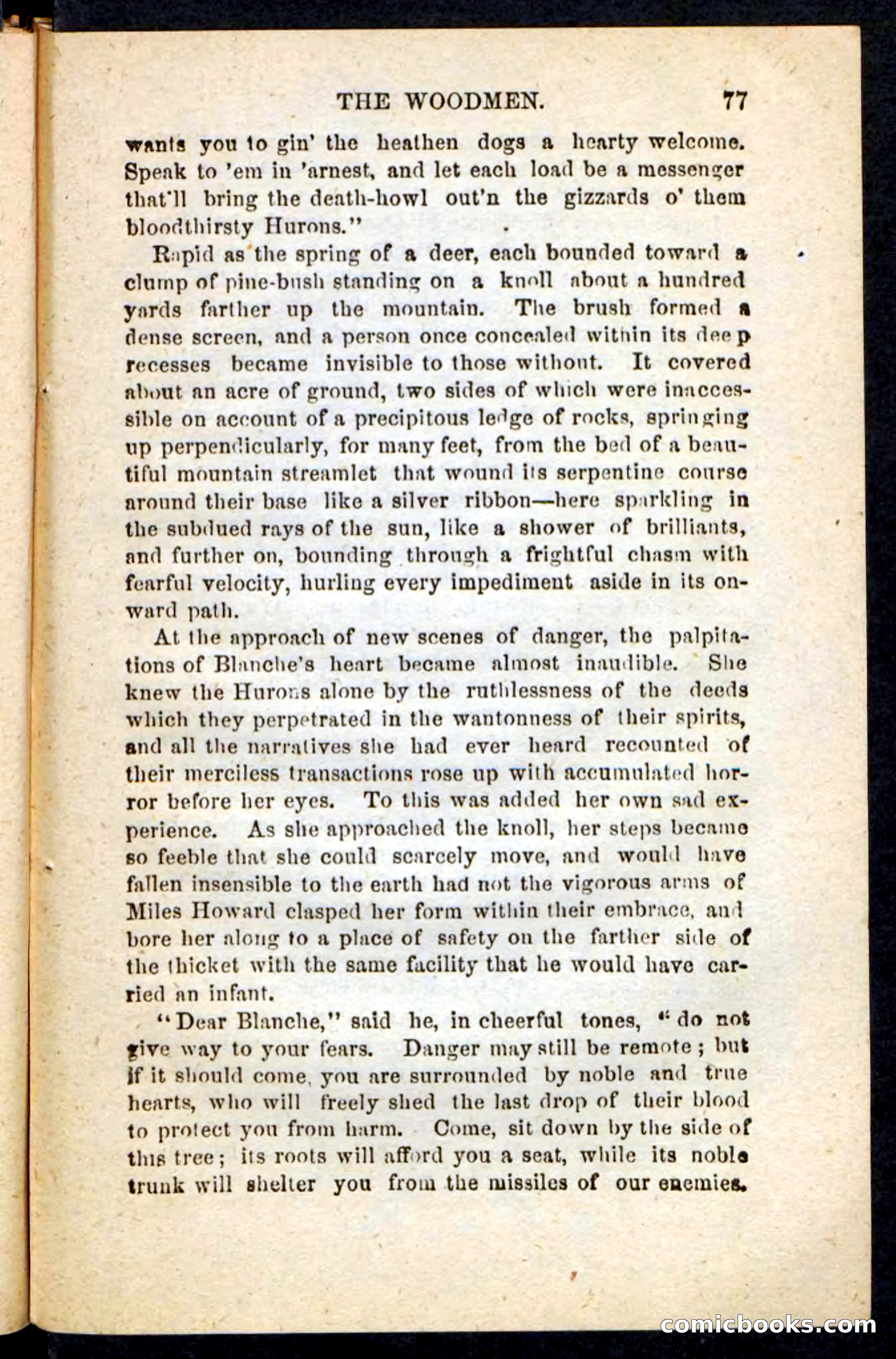 Beadle's Pocket Novels No. 214: The Backwoodsmen — page 73 of 100