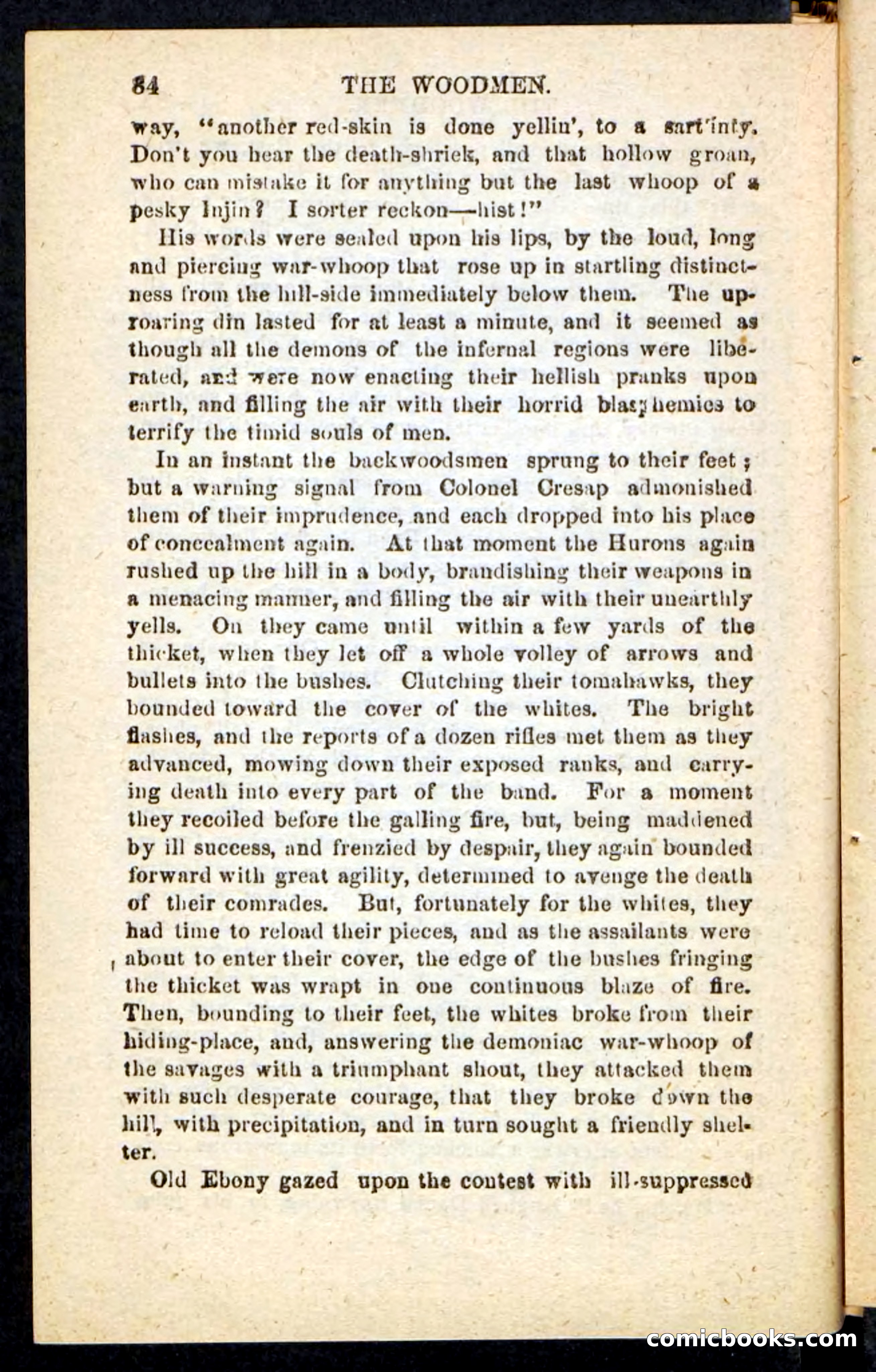 Beadle's Pocket Novels No. 214: The Backwoodsmen — page 80 of 100