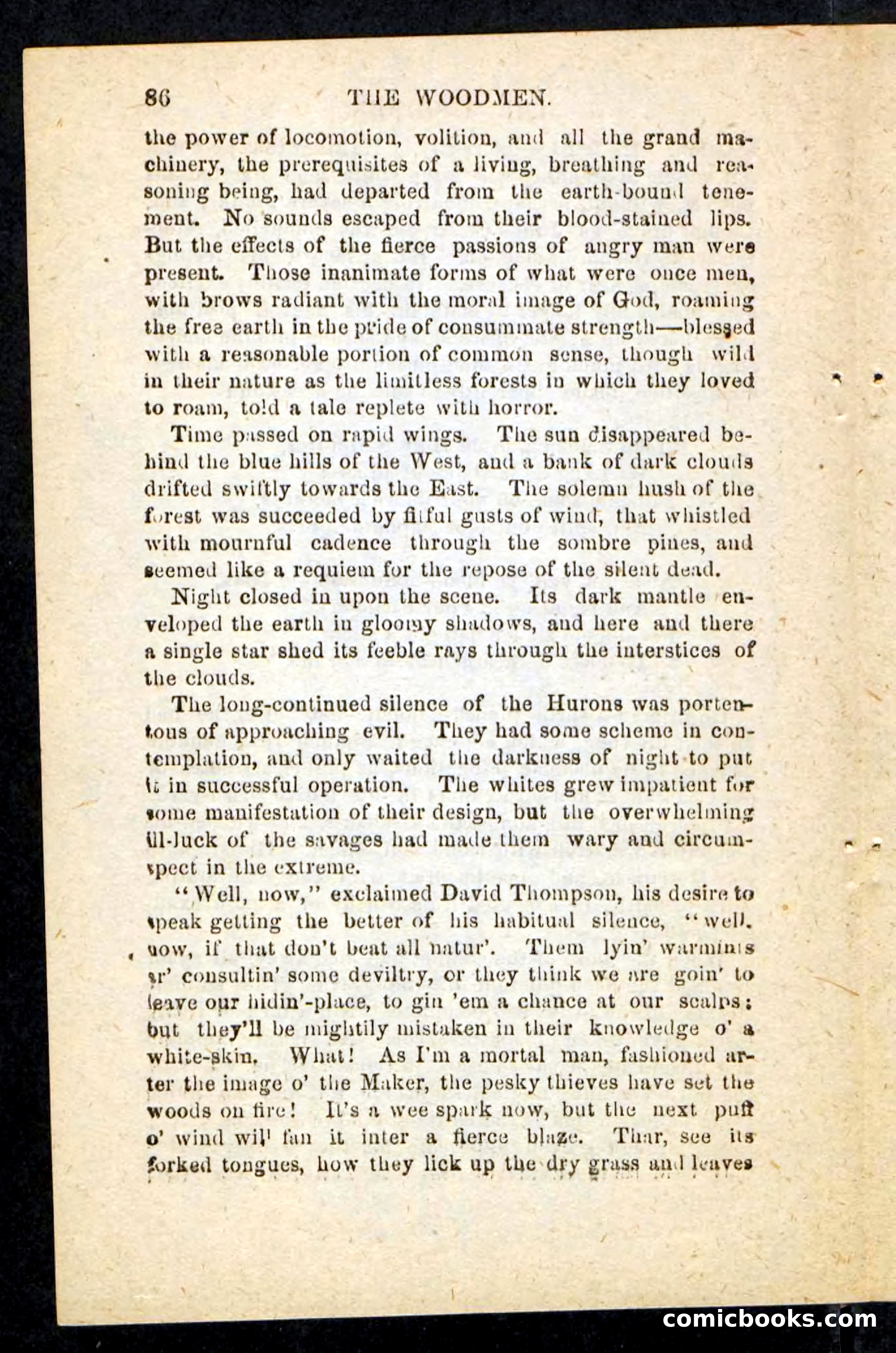 Beadle's Pocket Novels No. 214: The Backwoodsmen — page 82 of 100